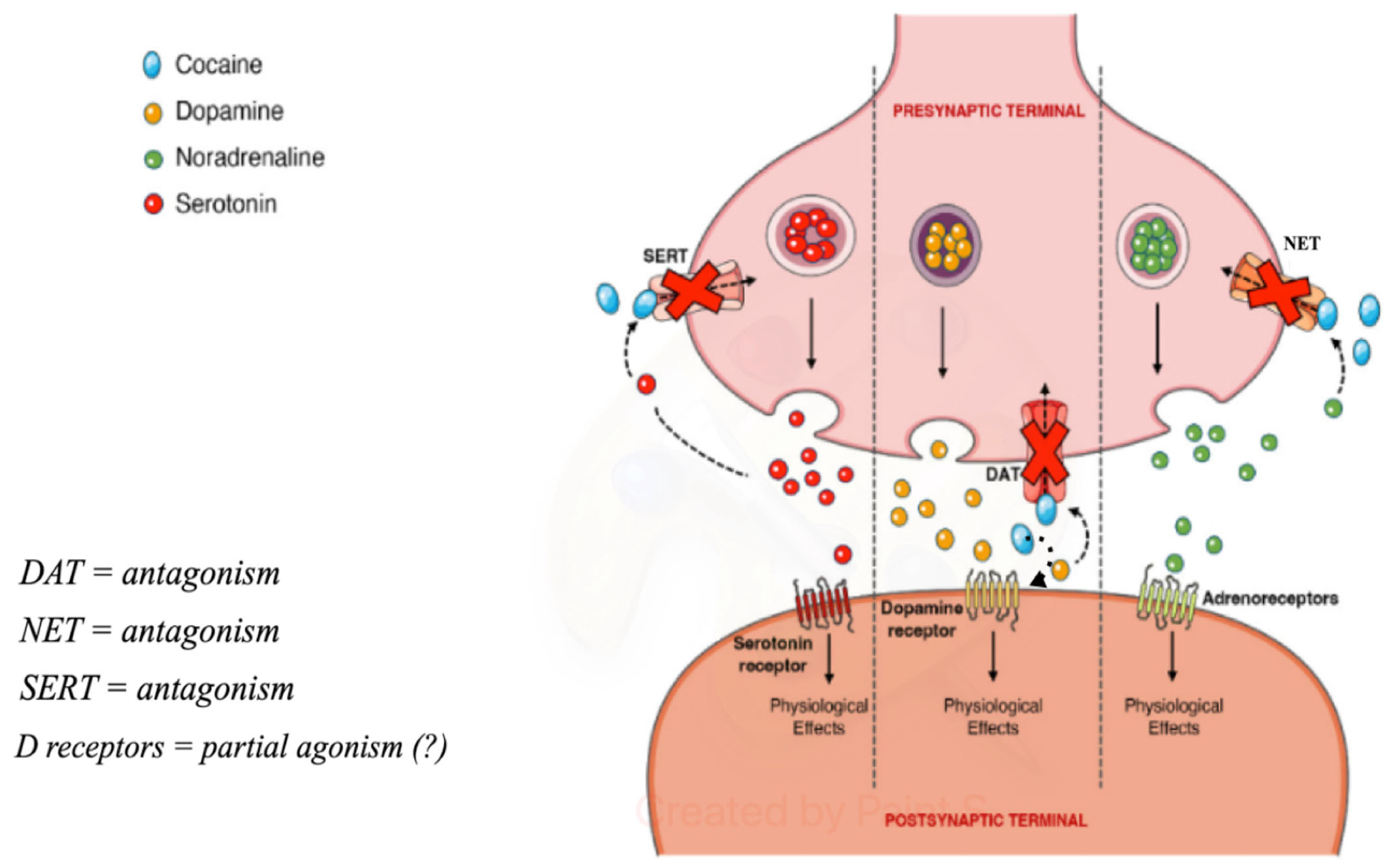 Ijerph 21 01105 g002 Ijerph 21 01105 g002