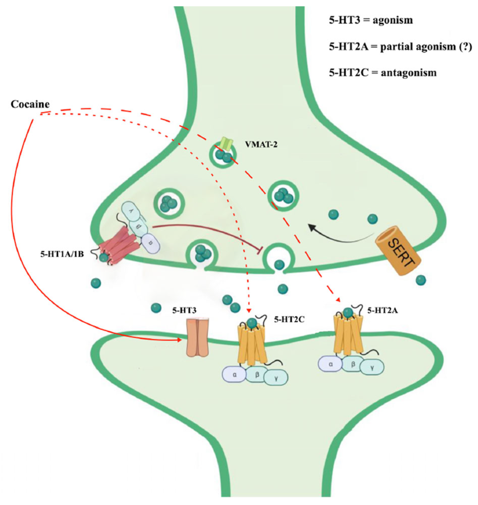 Ijerph 21 01105 g003 Ijerph 21 01105 g003