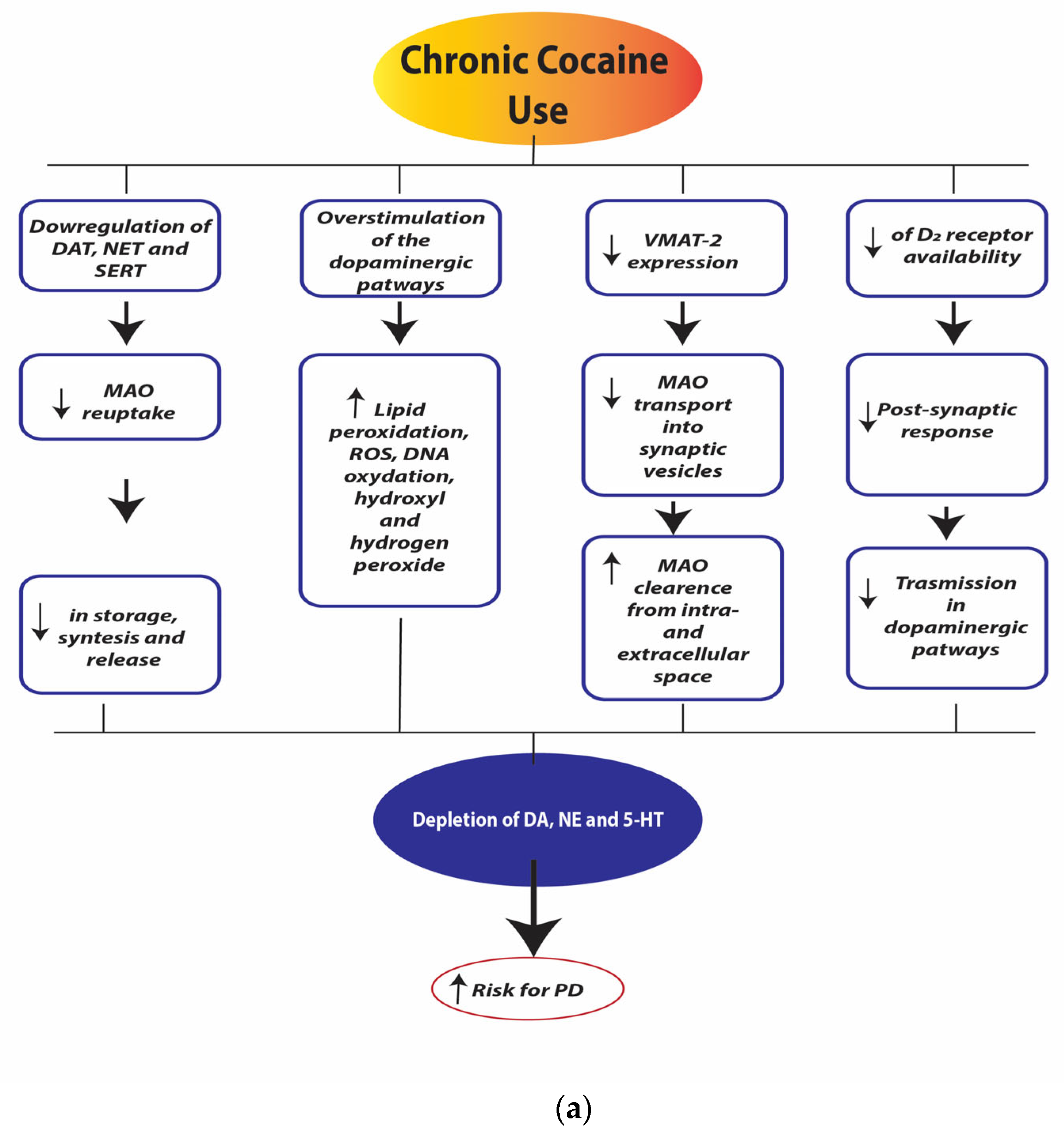 Ijerph 21 01105 g004a Ijerph 21 01105 g004a