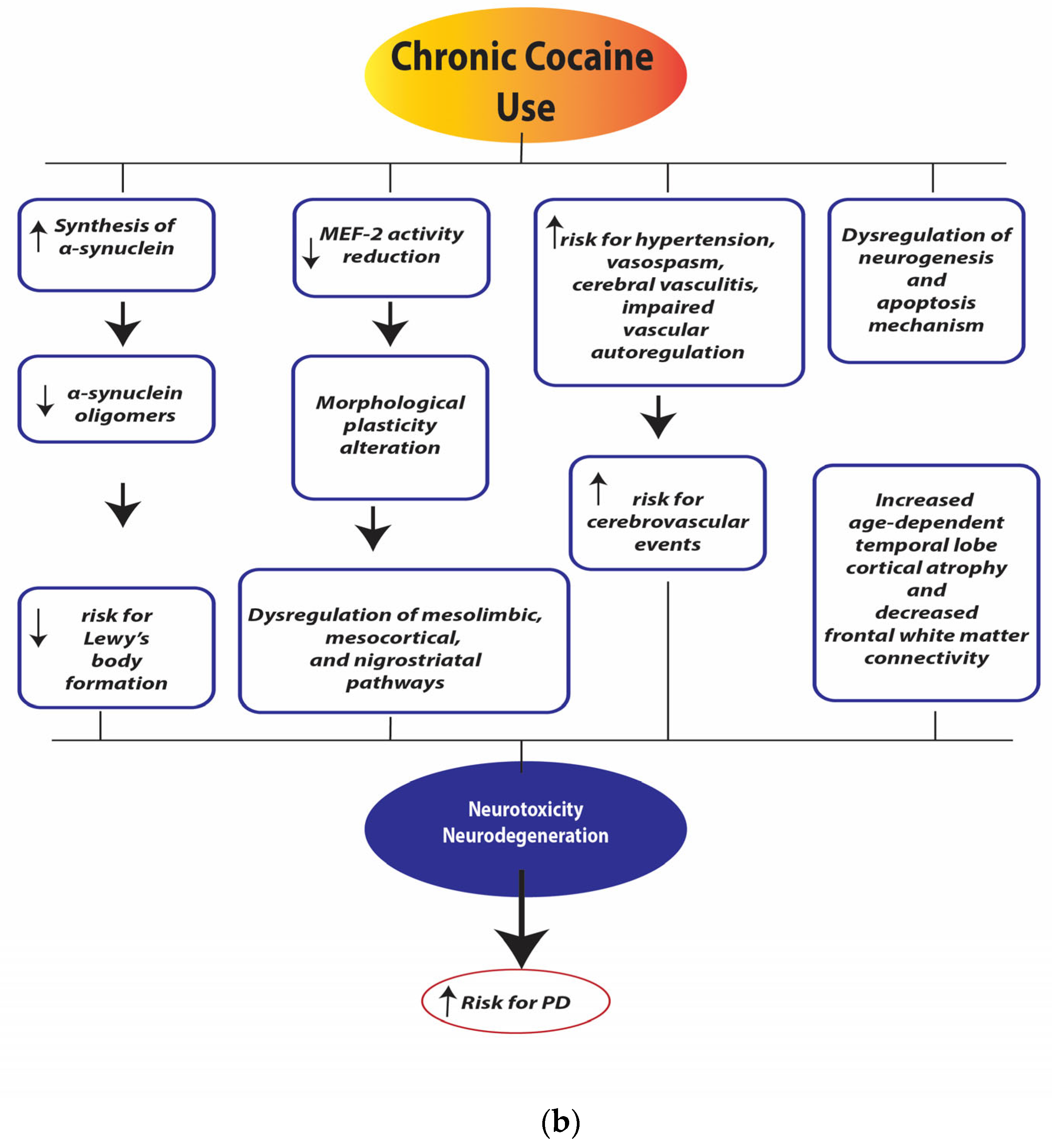 Ijerph 21 01105 g004b Ijerph 21 01105 g004b