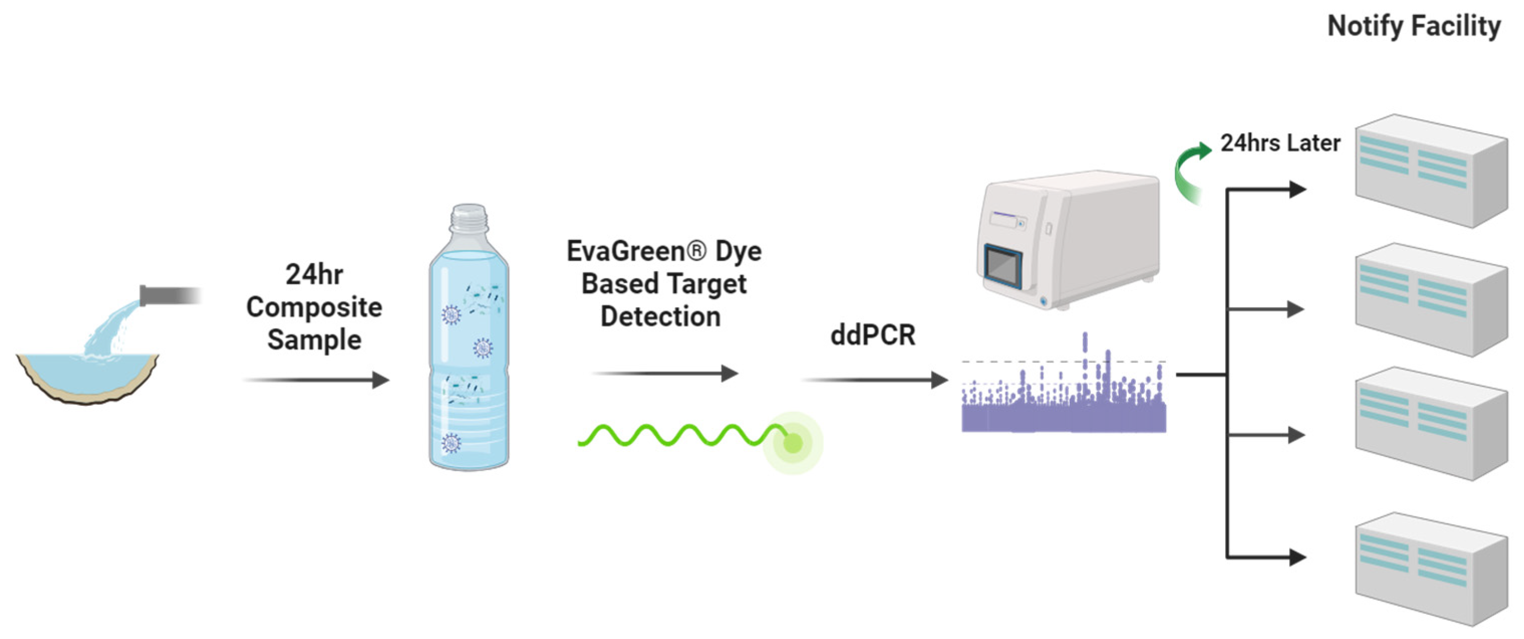 Ijerph 21 01259 g002