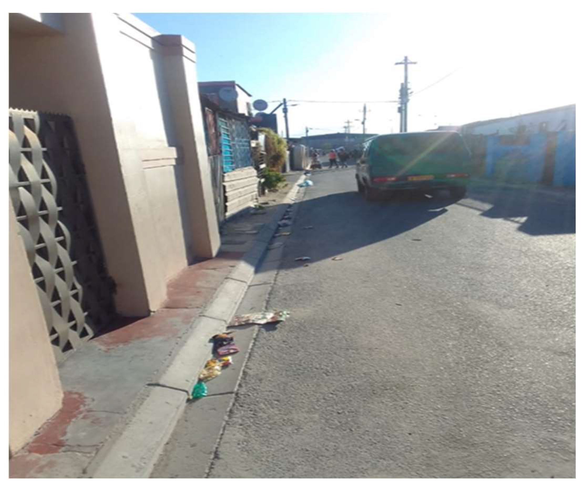 Ijerph 21 01517 g002