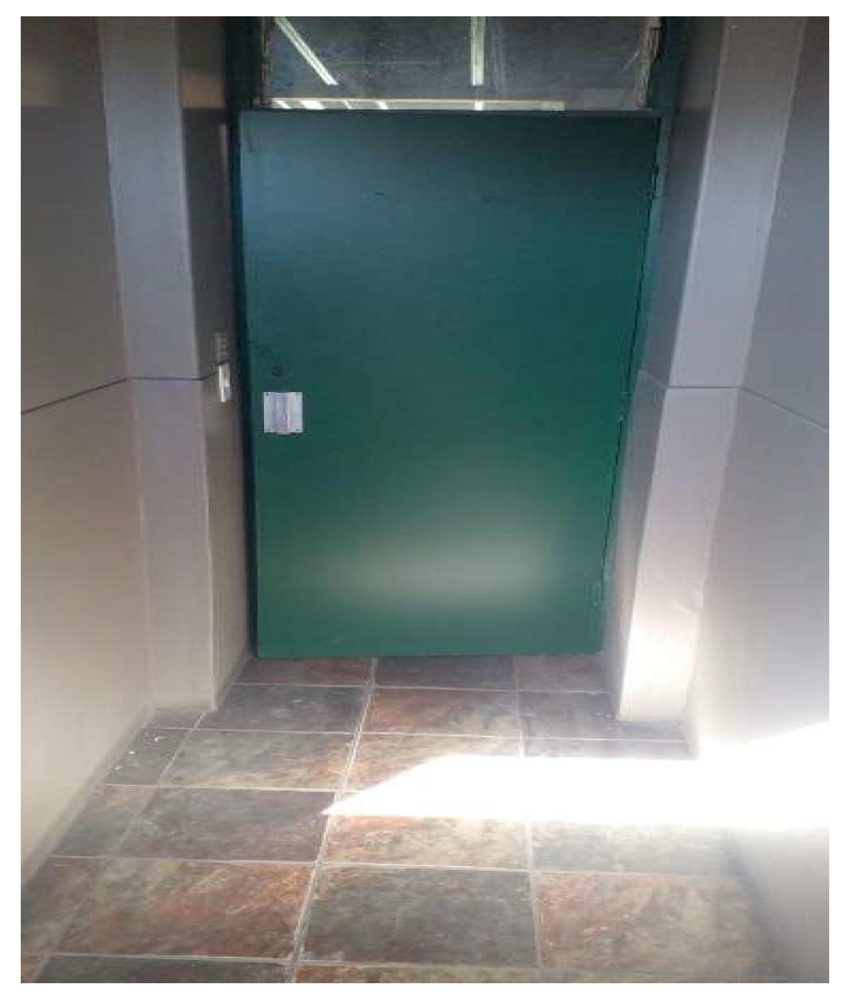 Ijerph 21 01517 g008