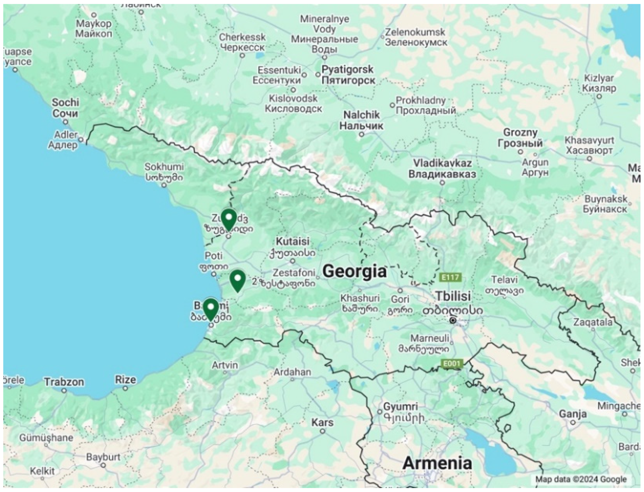 Ijerph 21 01665 g001 Ijerph 21 01665 g001