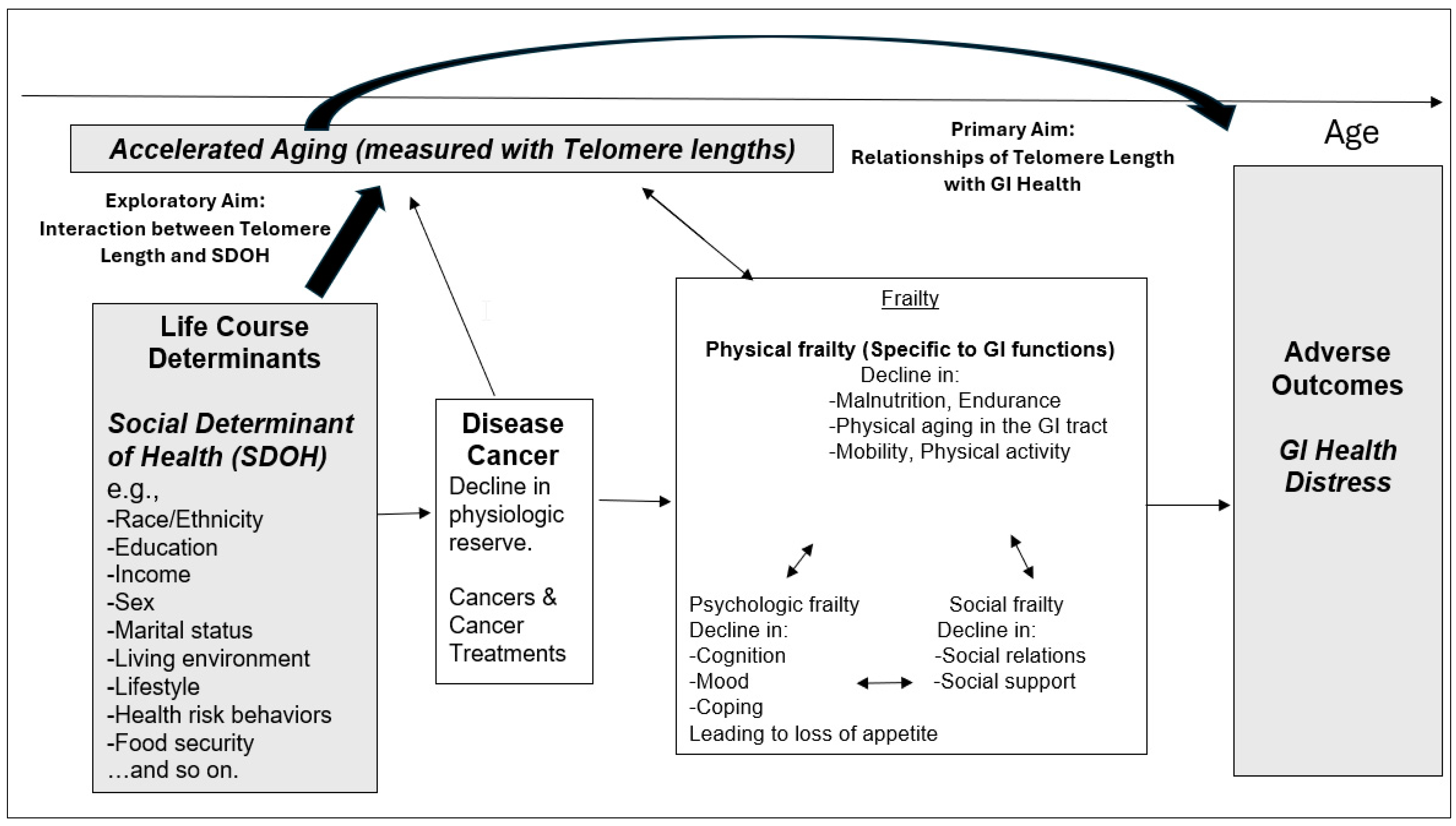 Ijerph 21 01694 g002