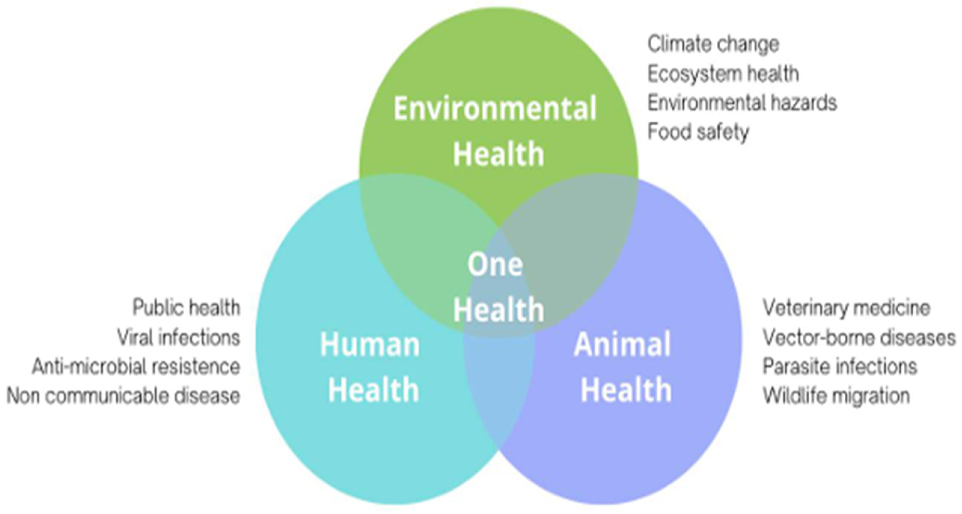Ijerph 22 00034 g001