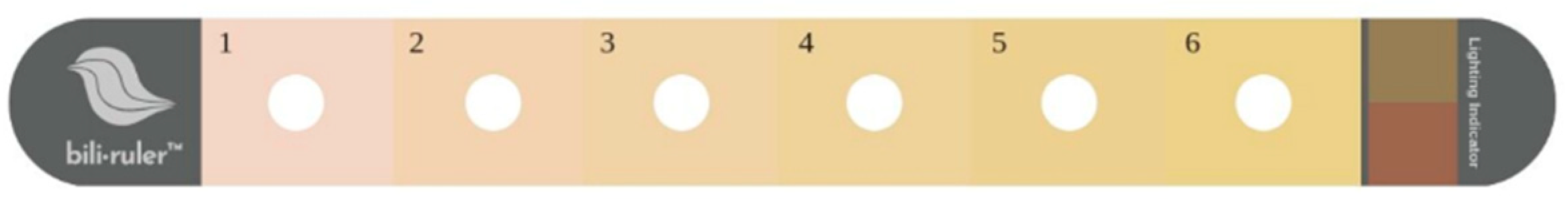 Ijerph 22 00096 g001