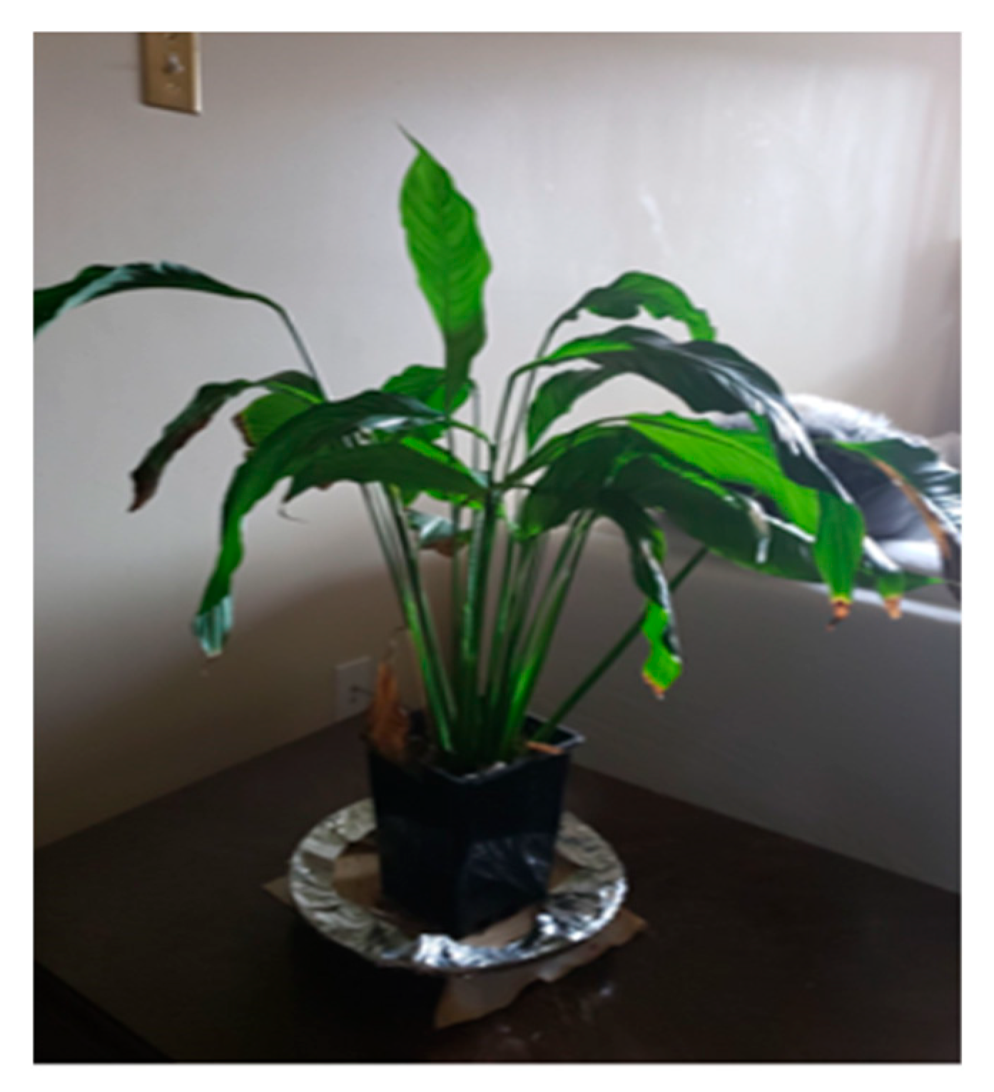 Ijerph 22 00114 g006