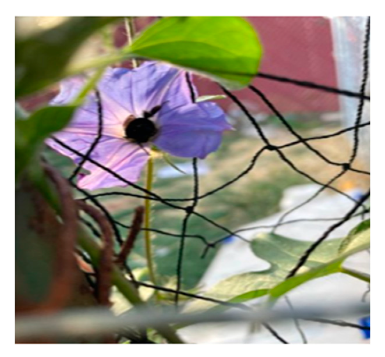 Ijerph 22 00114 g011