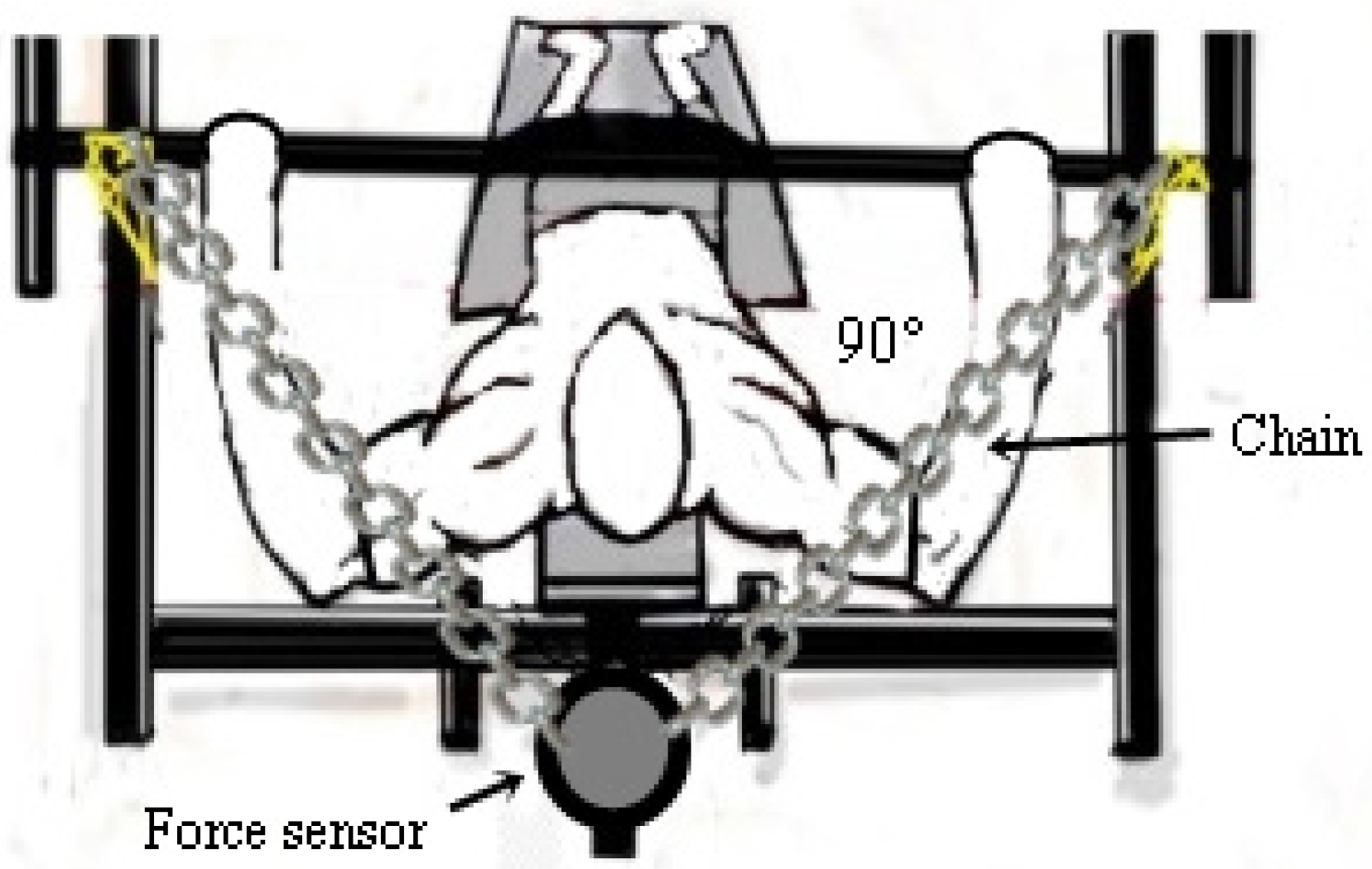 Ijerph 22 00122 g003