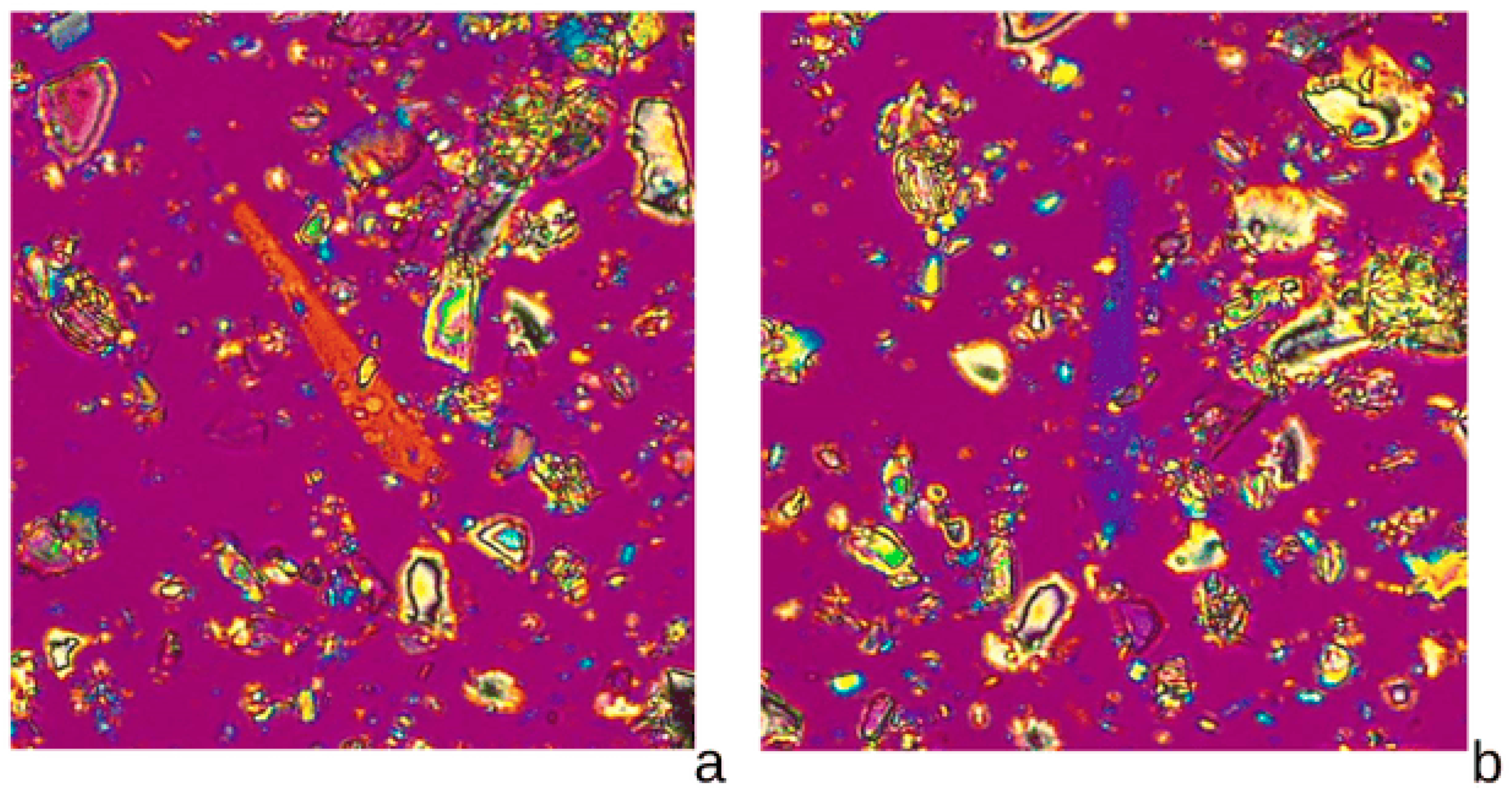 Ijerph 22 00215 g003