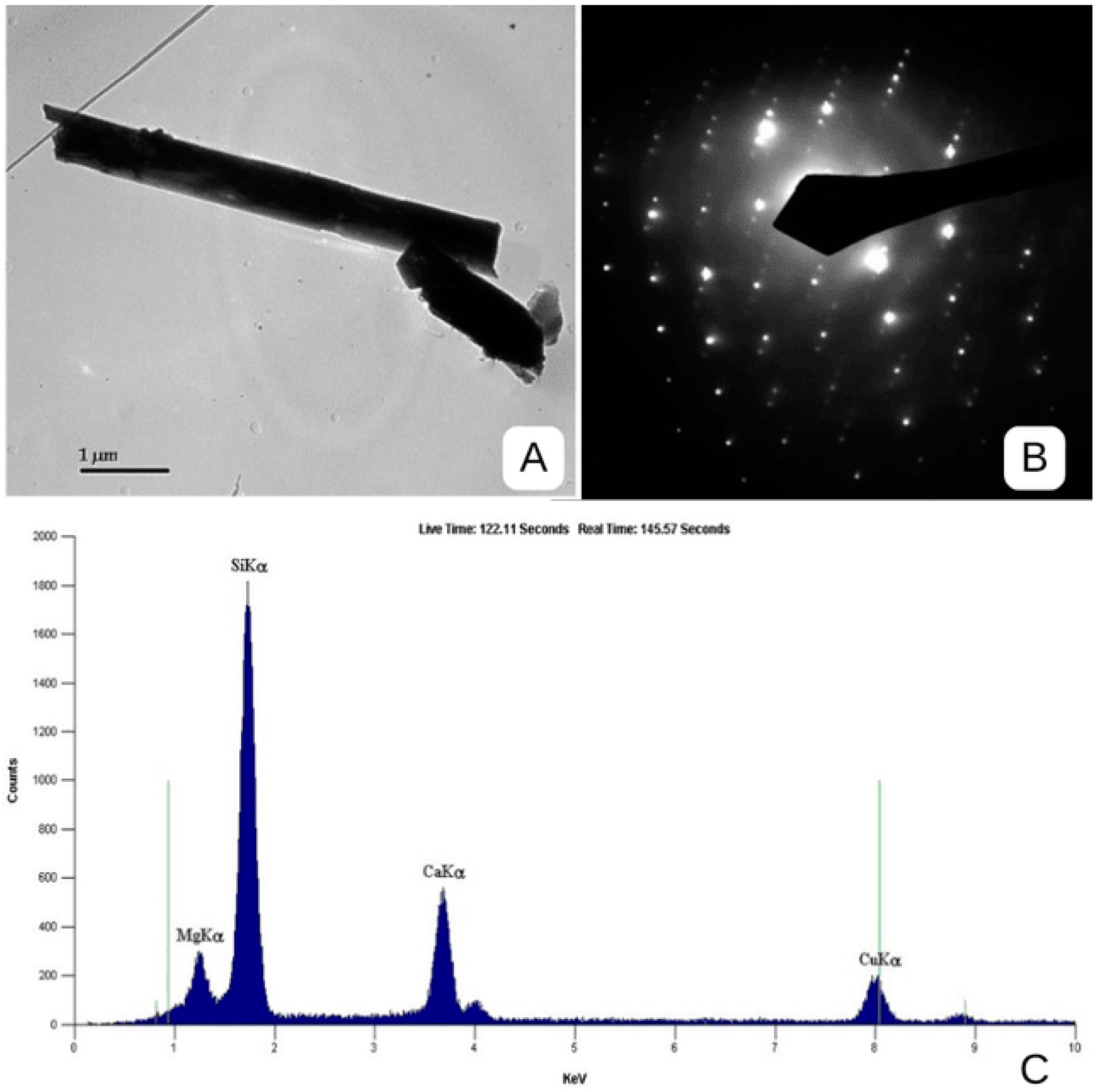 Ijerph 22 00215 g004