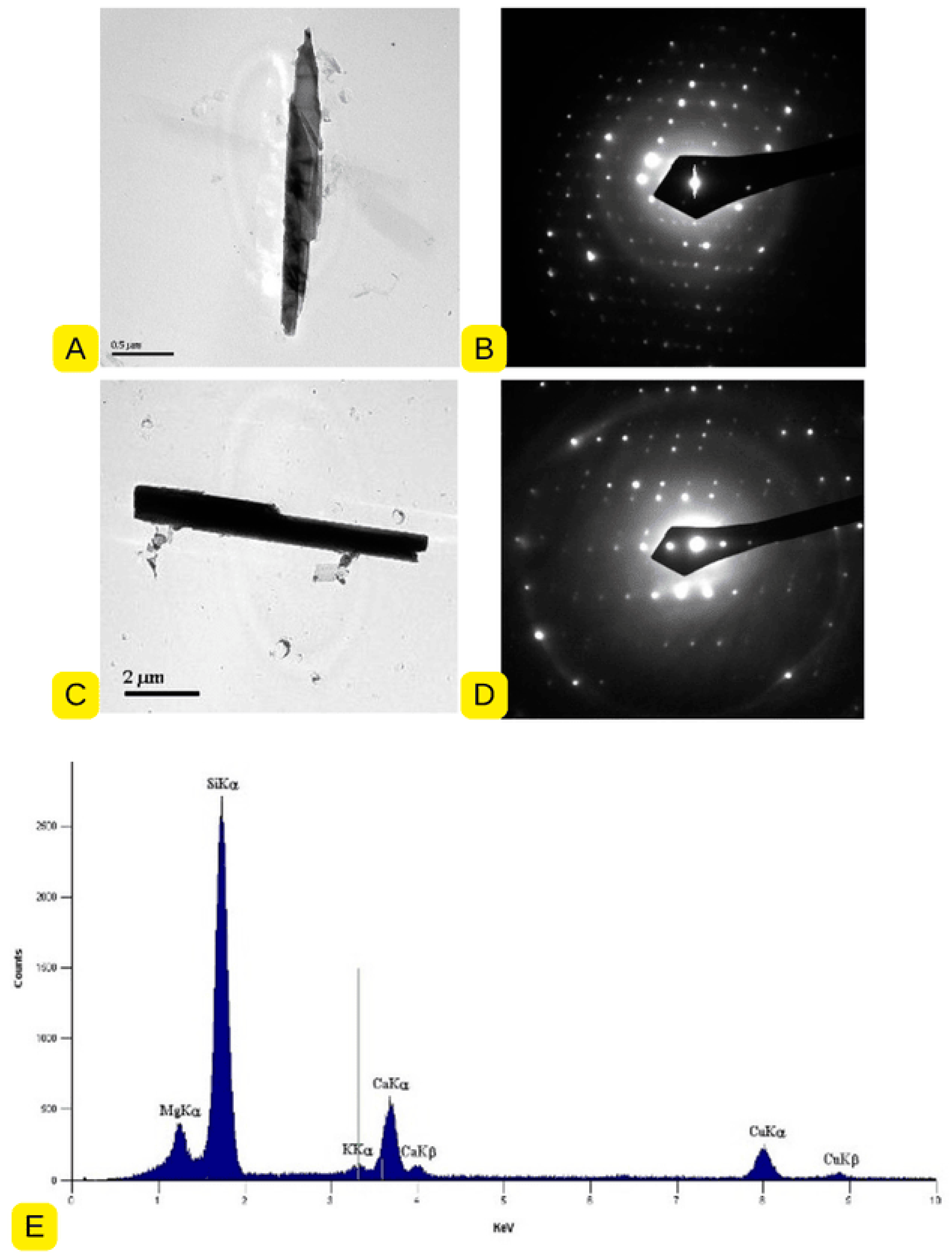 Ijerph 22 00215 g005