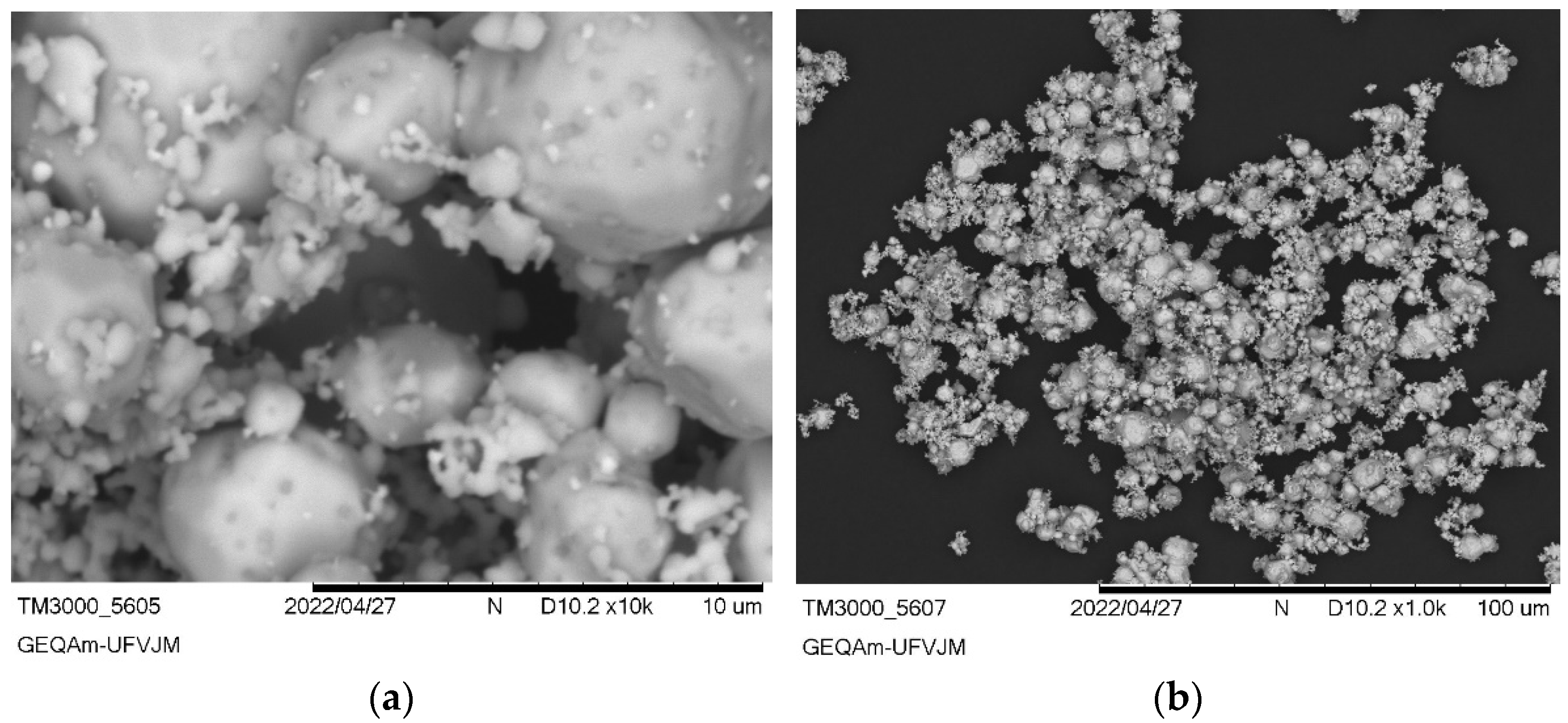 Ijerph 22 00334 g003 Ijerph 22 00334 g003