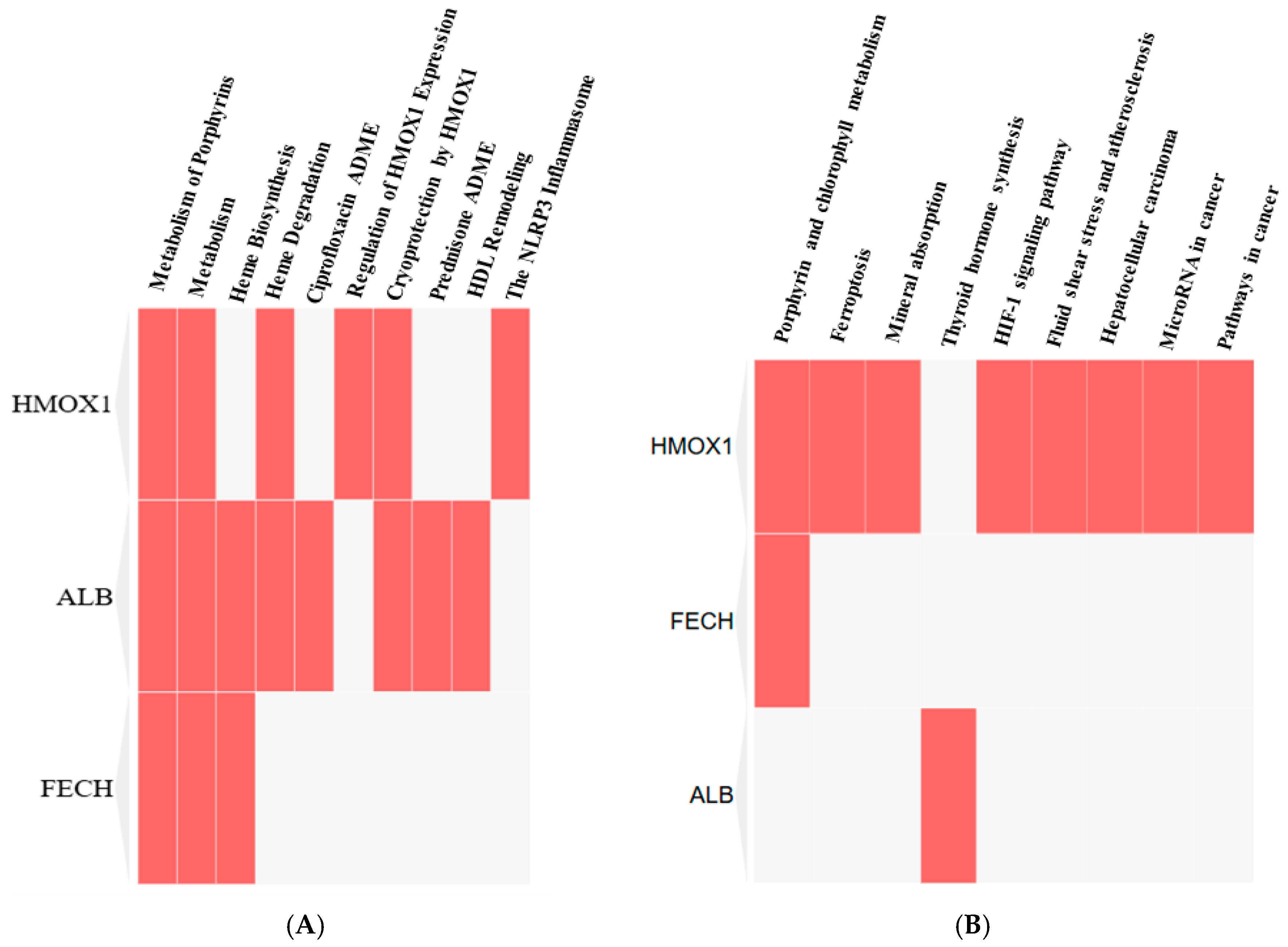 Ijerph 22 00418 g008