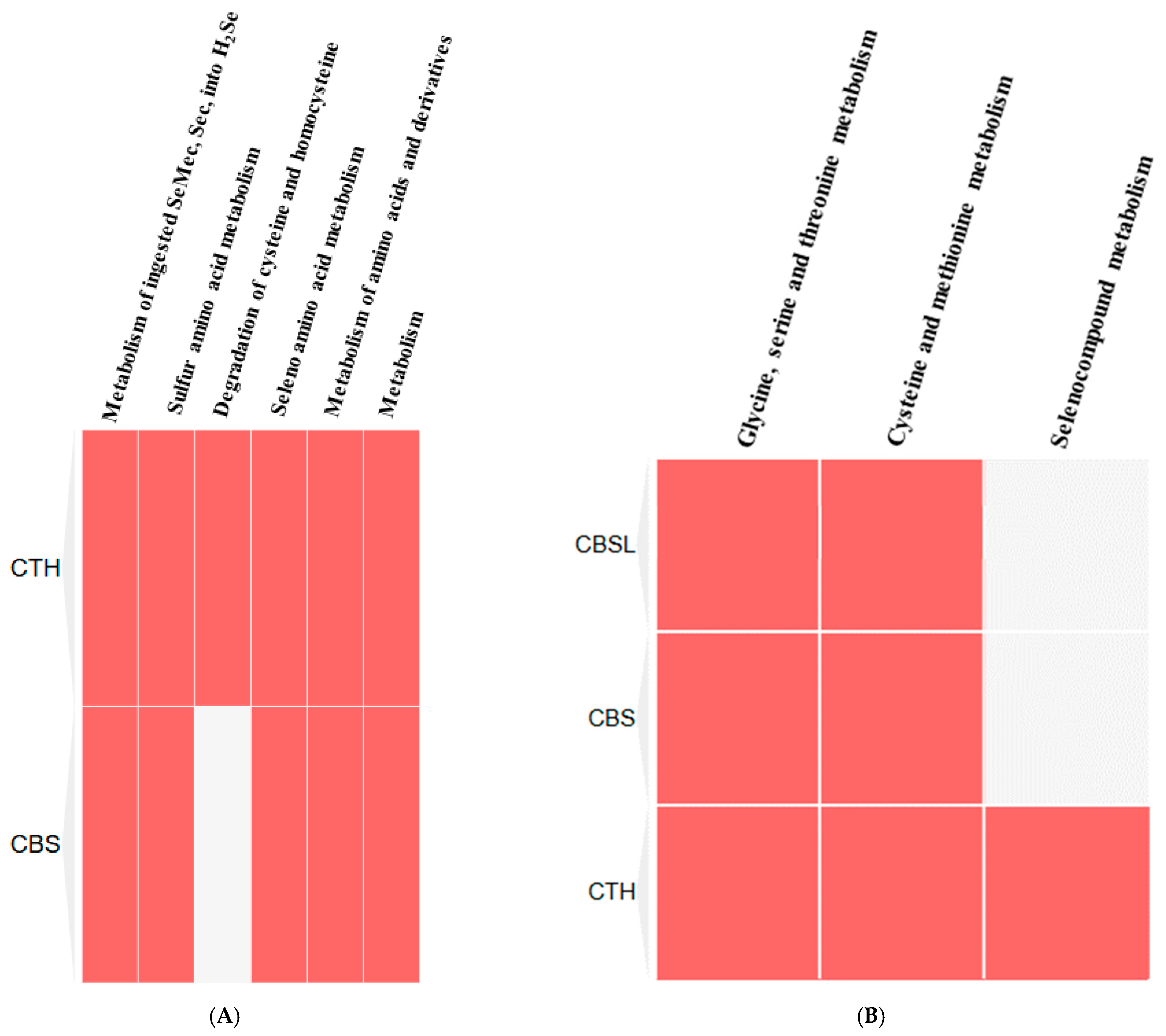 Ijerph 22 00418 g009