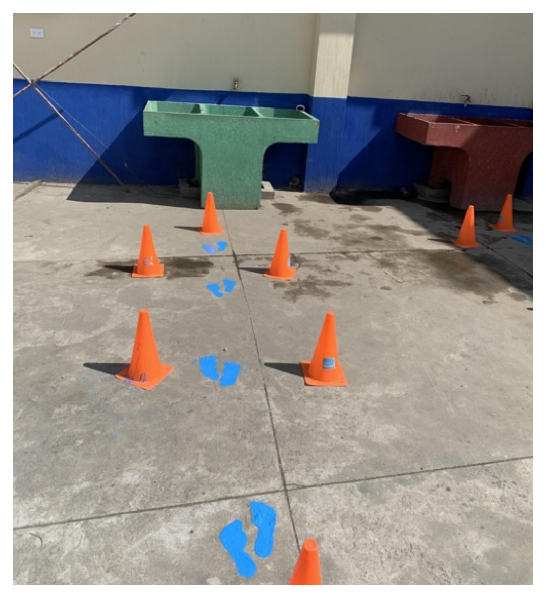 Ijerph 22 00424 g002