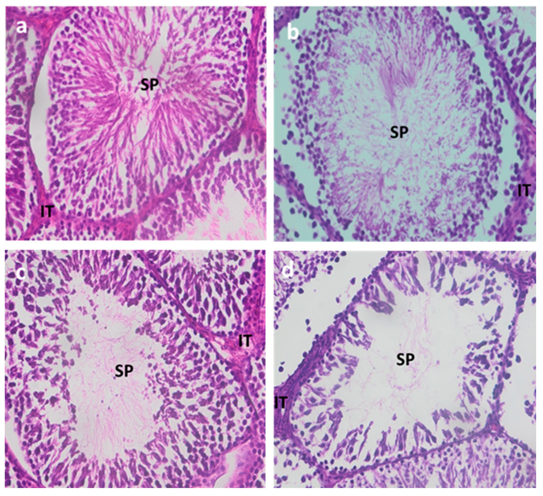 Ijerph 22 00454 g001
