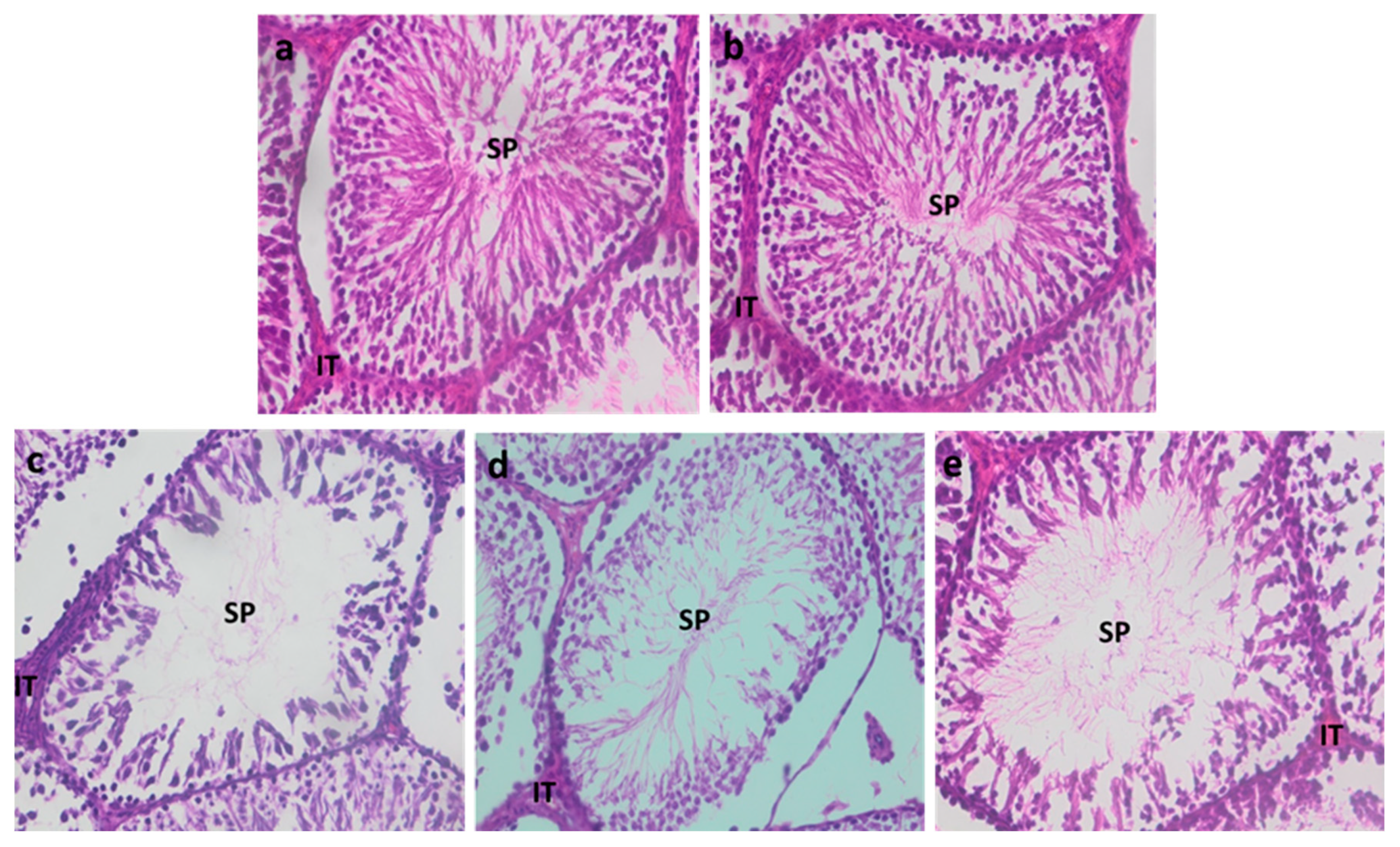 Ijerph 22 00454 g005