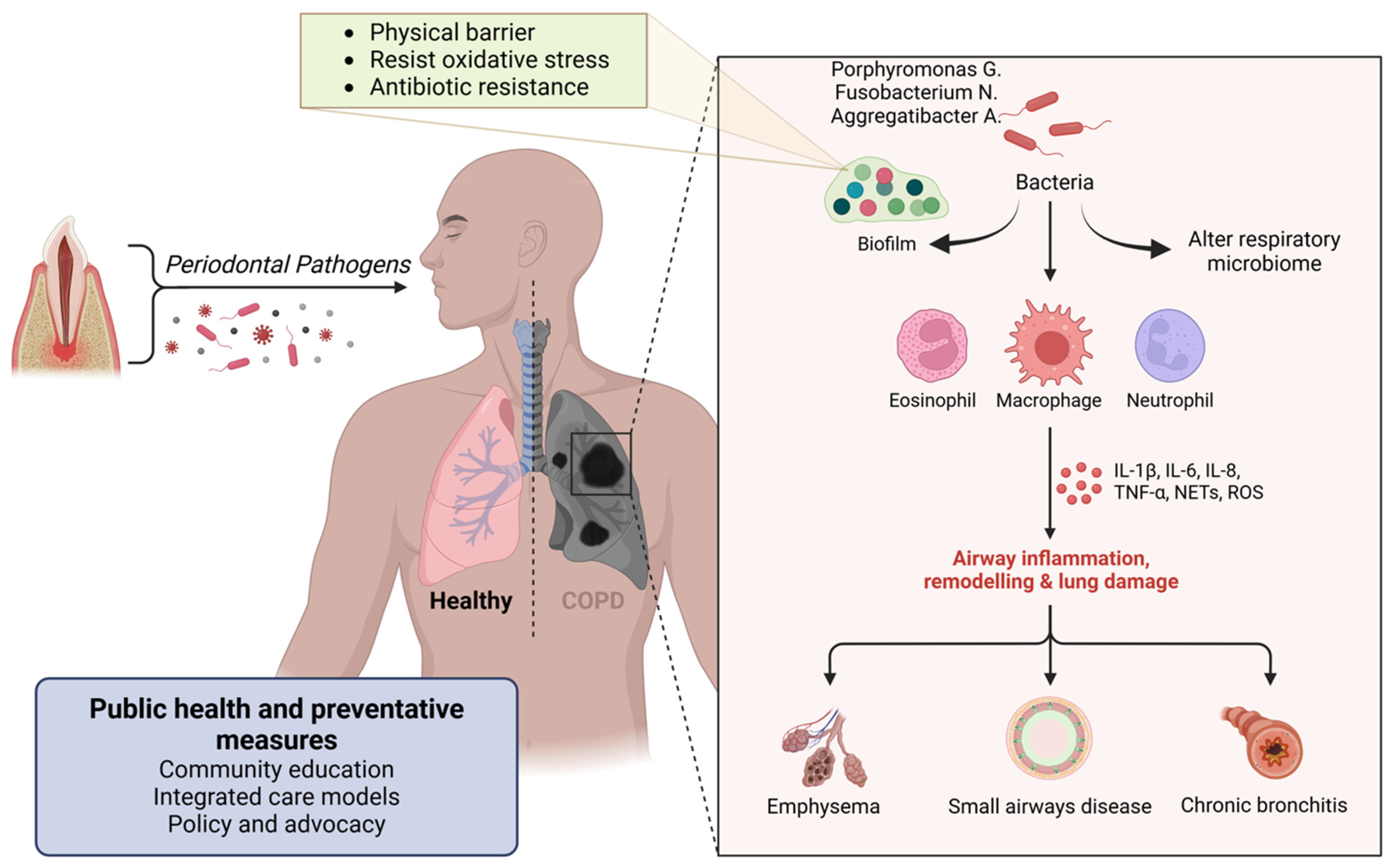 Ijerph 22 00624 g007