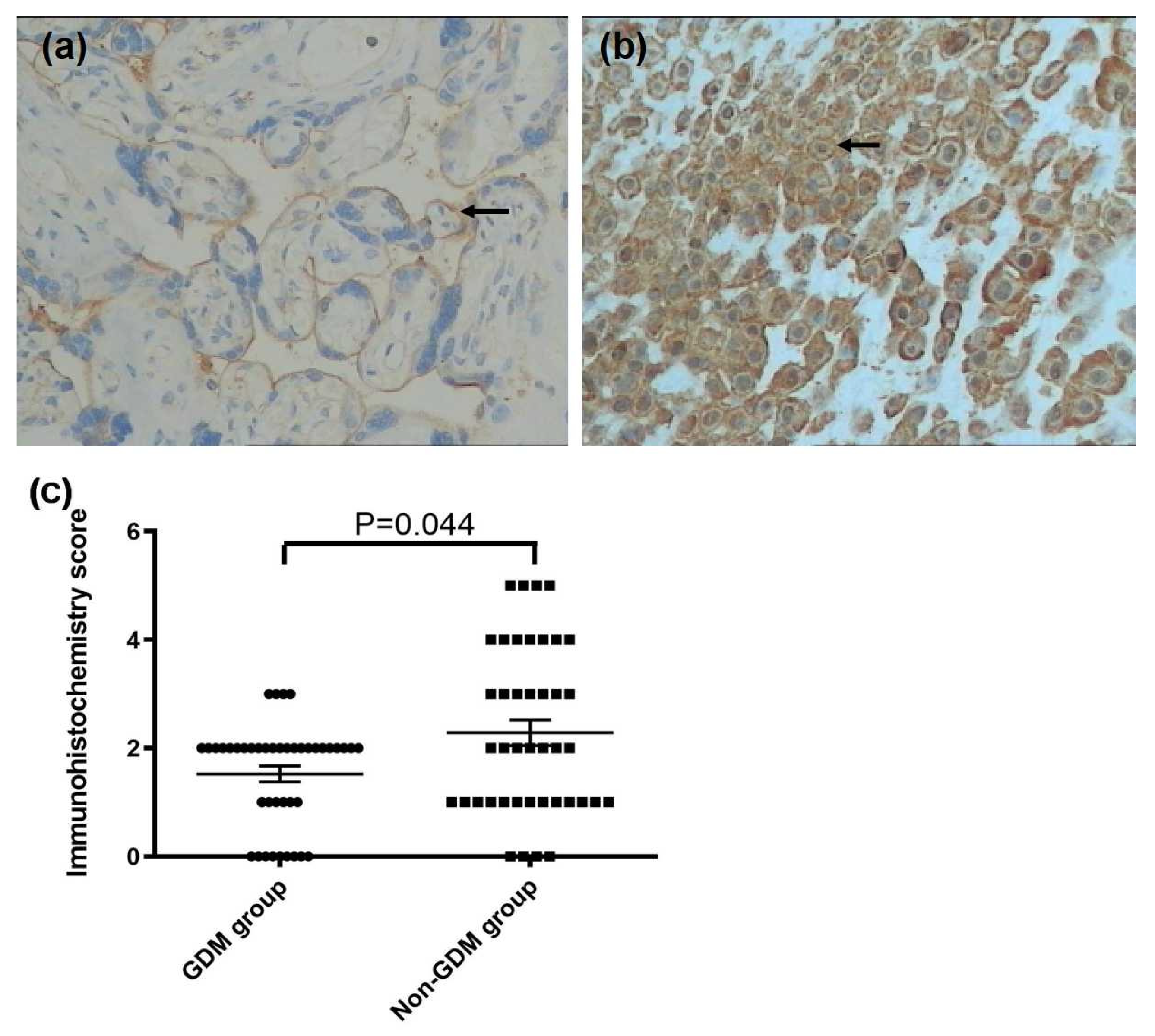 Ijerph 22 00636 g001