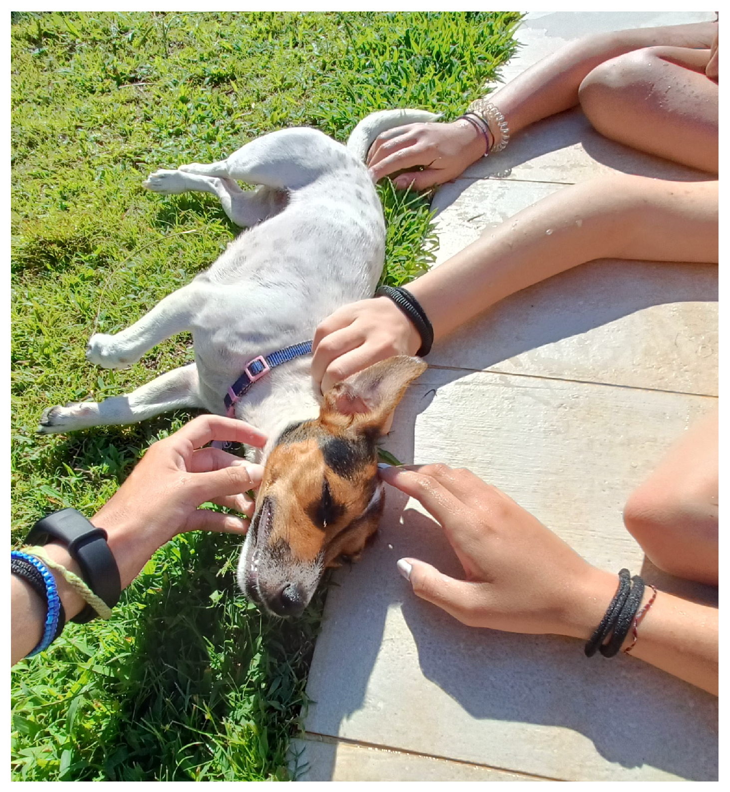 Ijerph 22 00648 g004