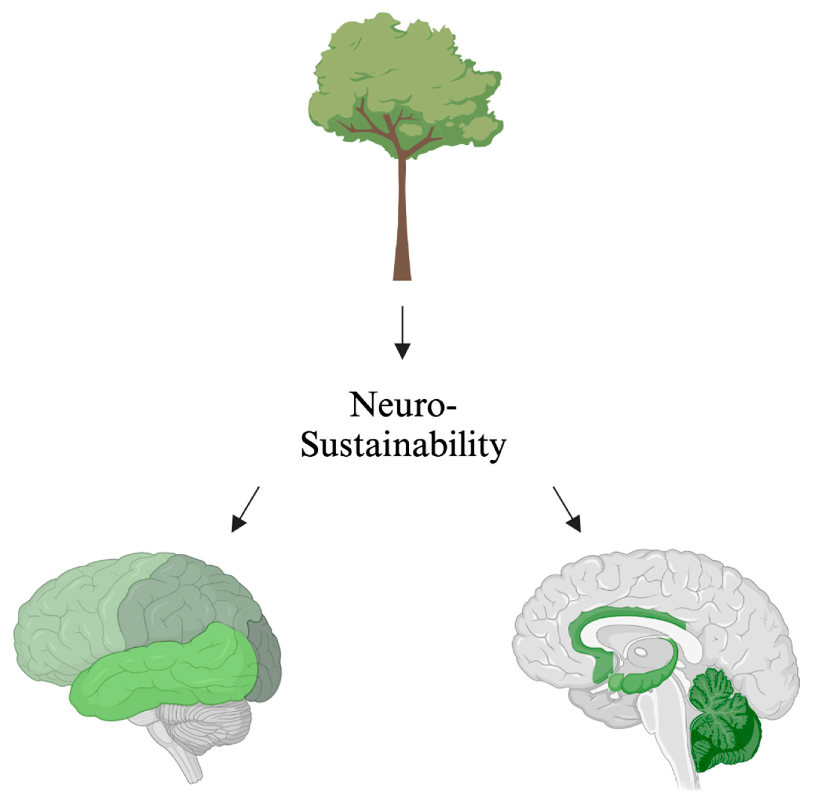Ijerph 22 00690 g004