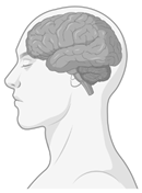 Ijerph 22 00690 i004