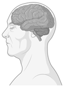 Ijerph 22 00690 i005