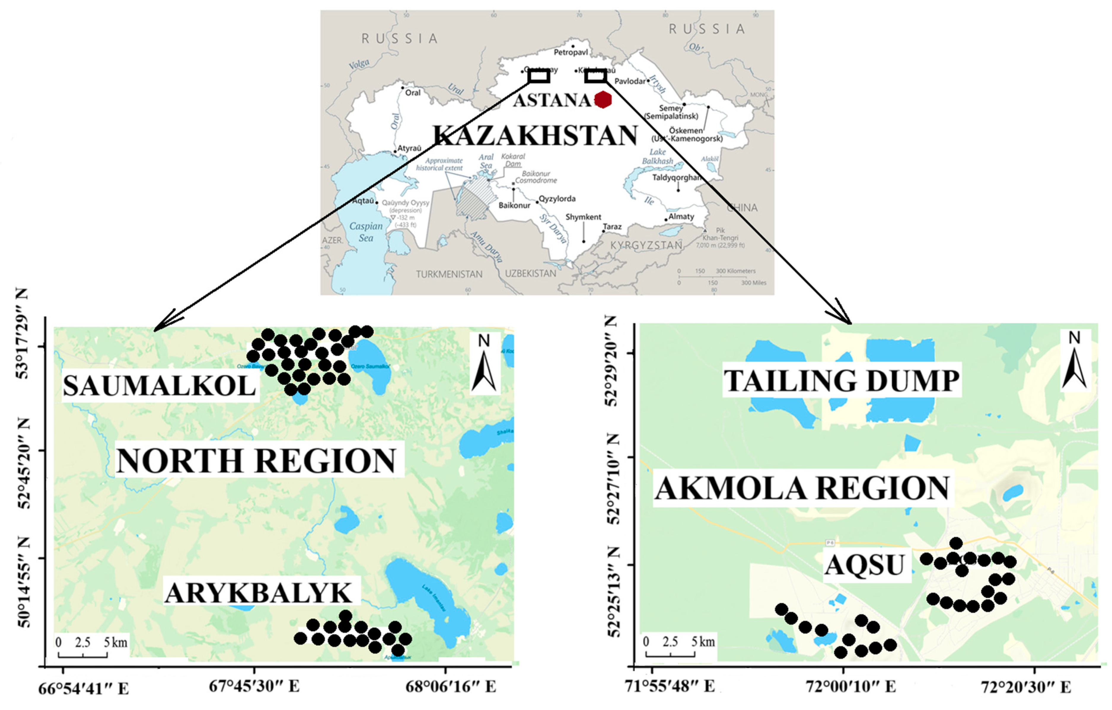 Ijerph 22 00723 g001