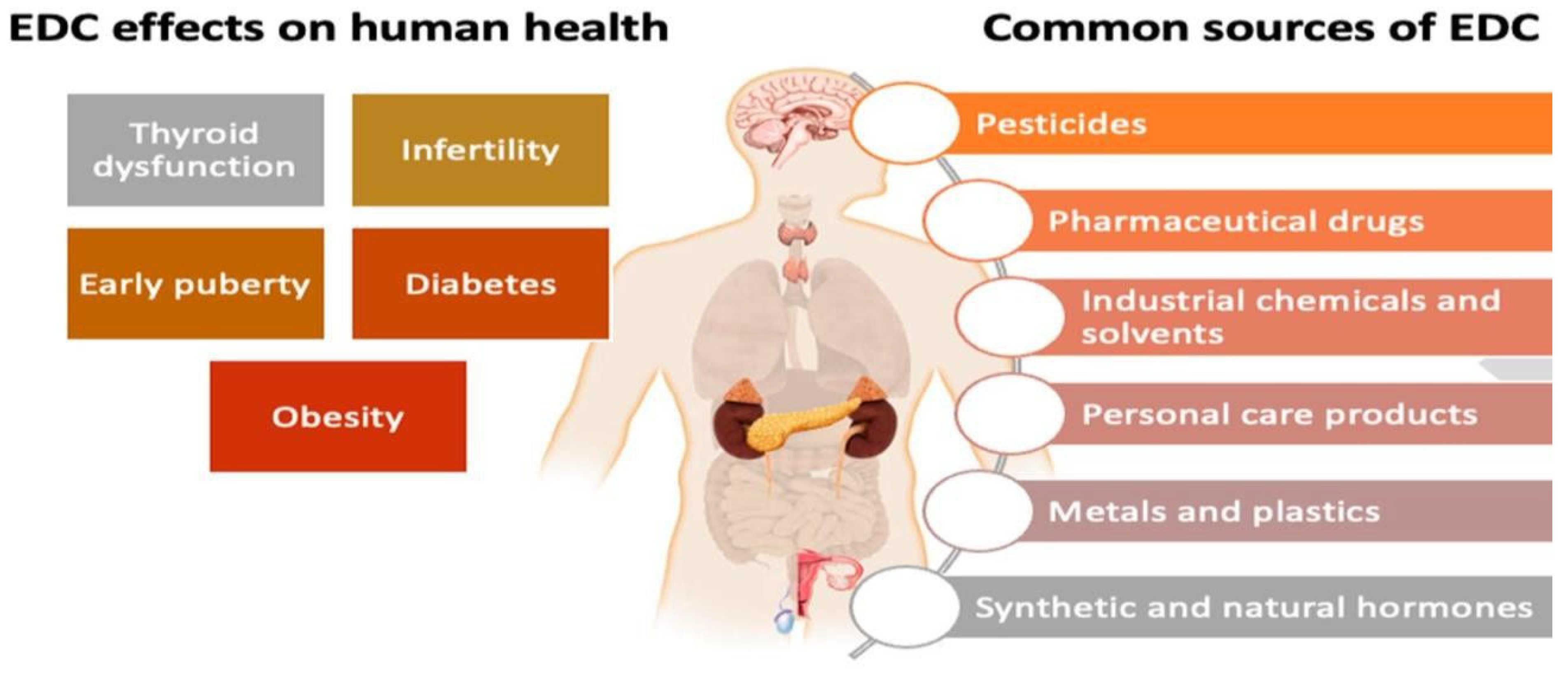 Ijerph 22 00740 g001