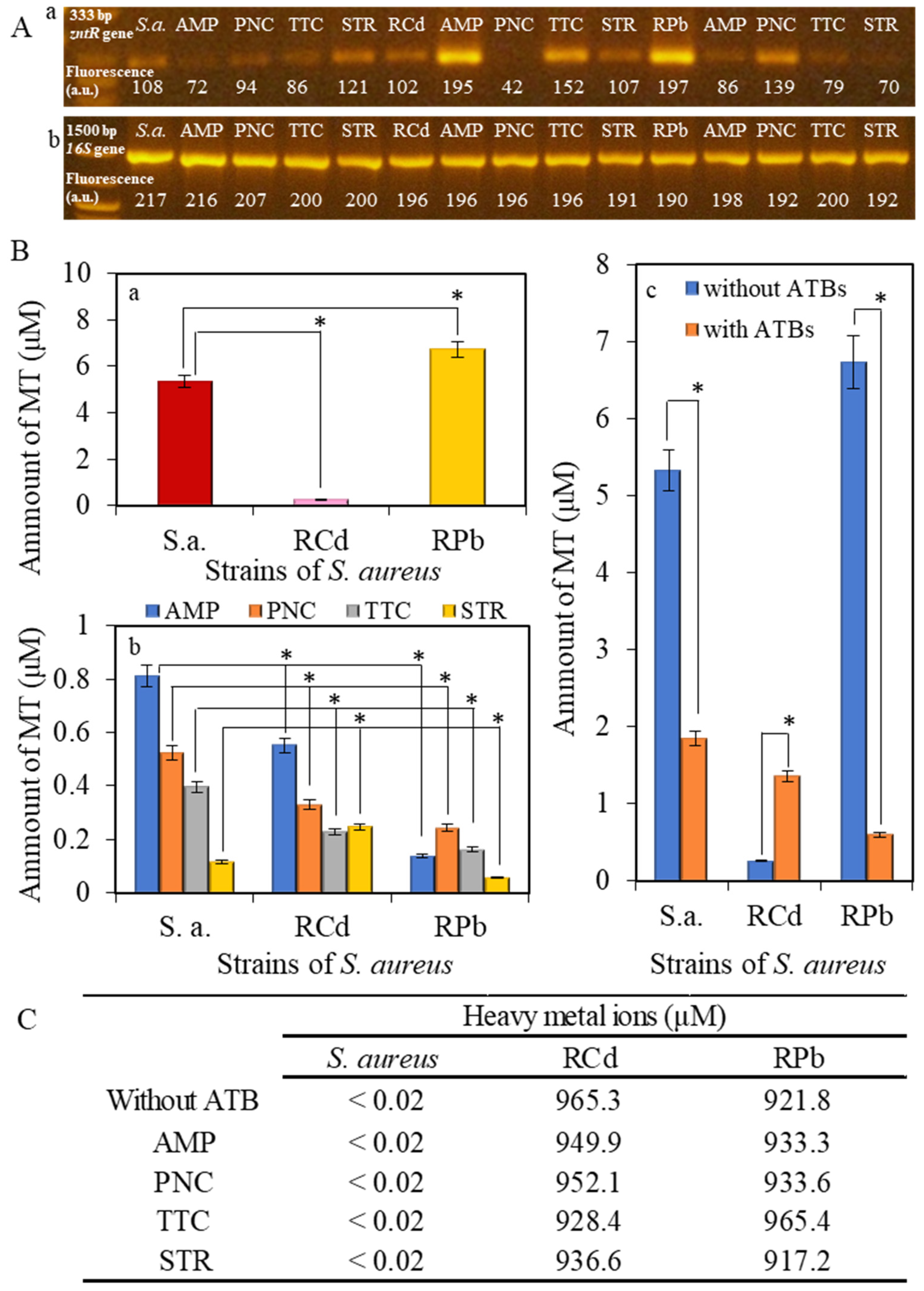 Ijerph 22 00744 g005