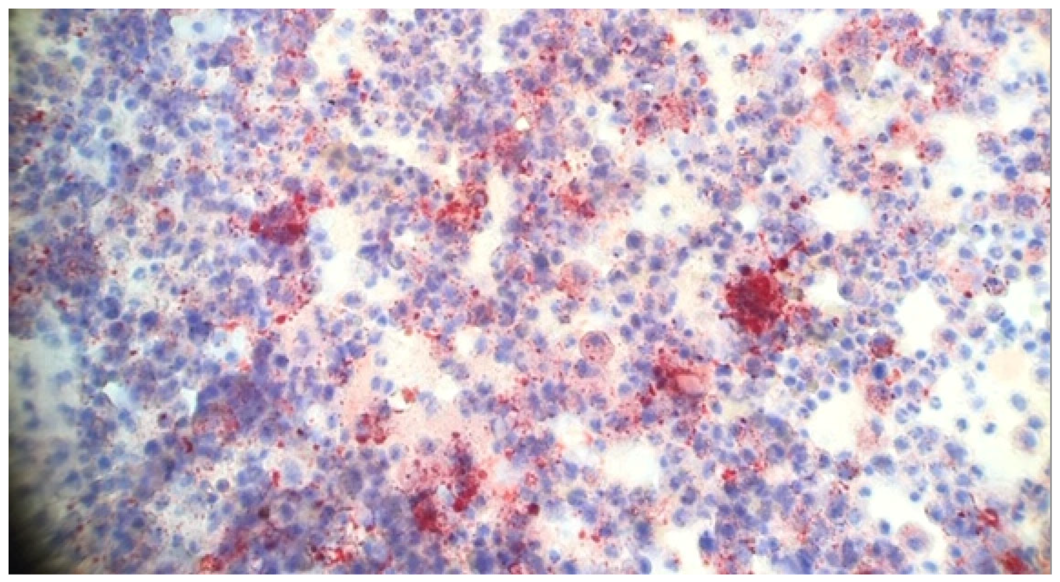 Ijerph 22 00792 g006