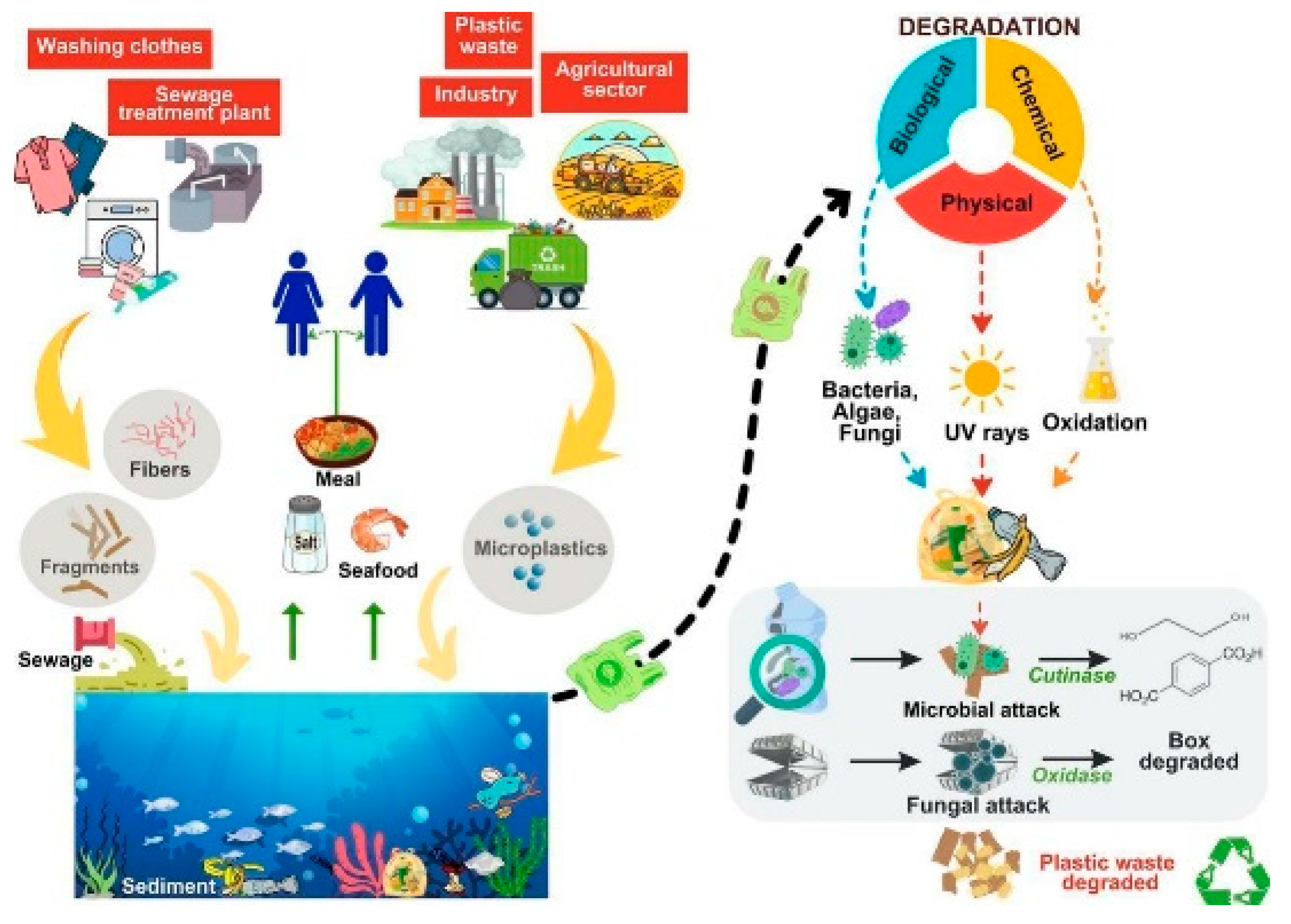 Ijerph 22 00799 g002