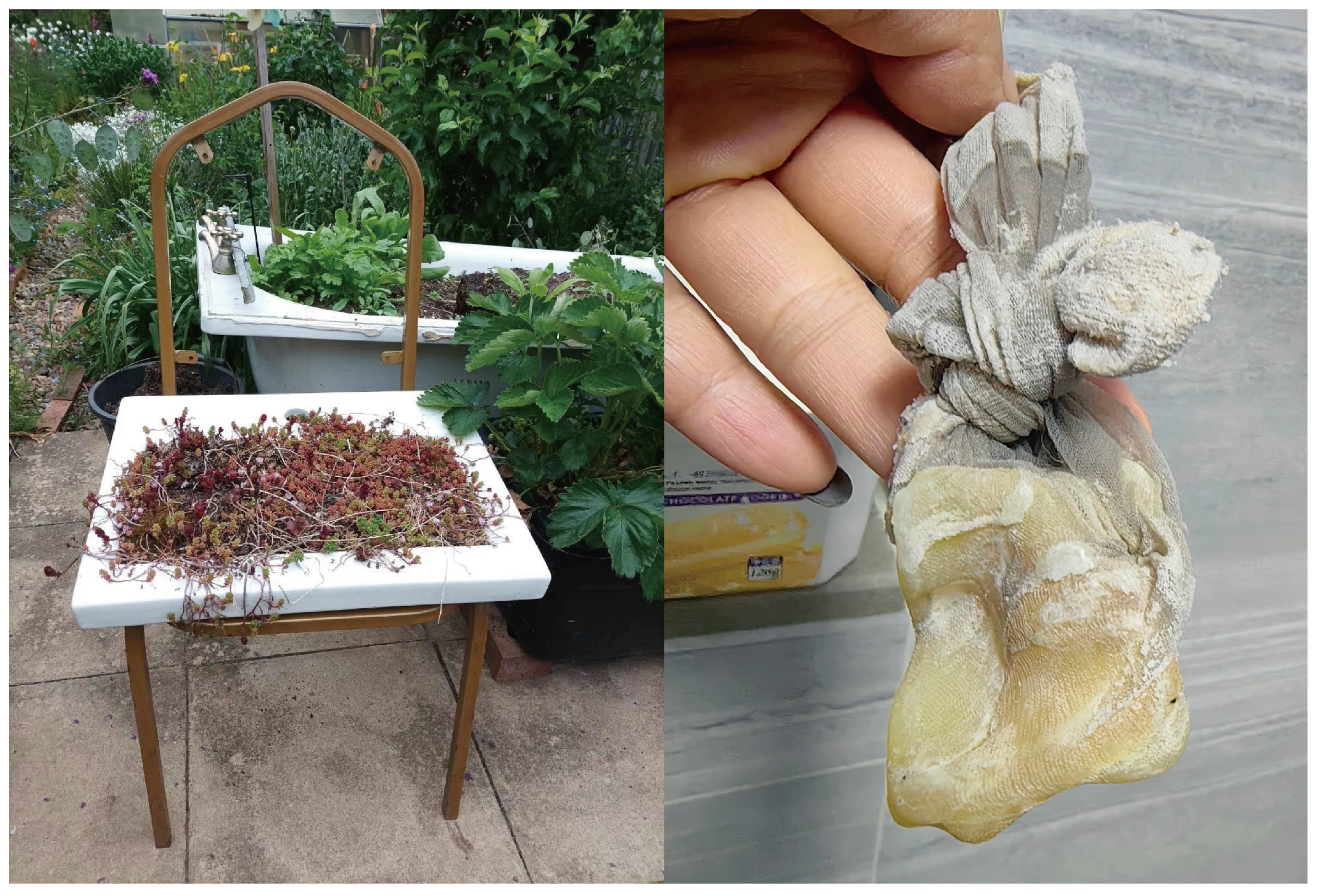 Ijerph 22 00832 g002