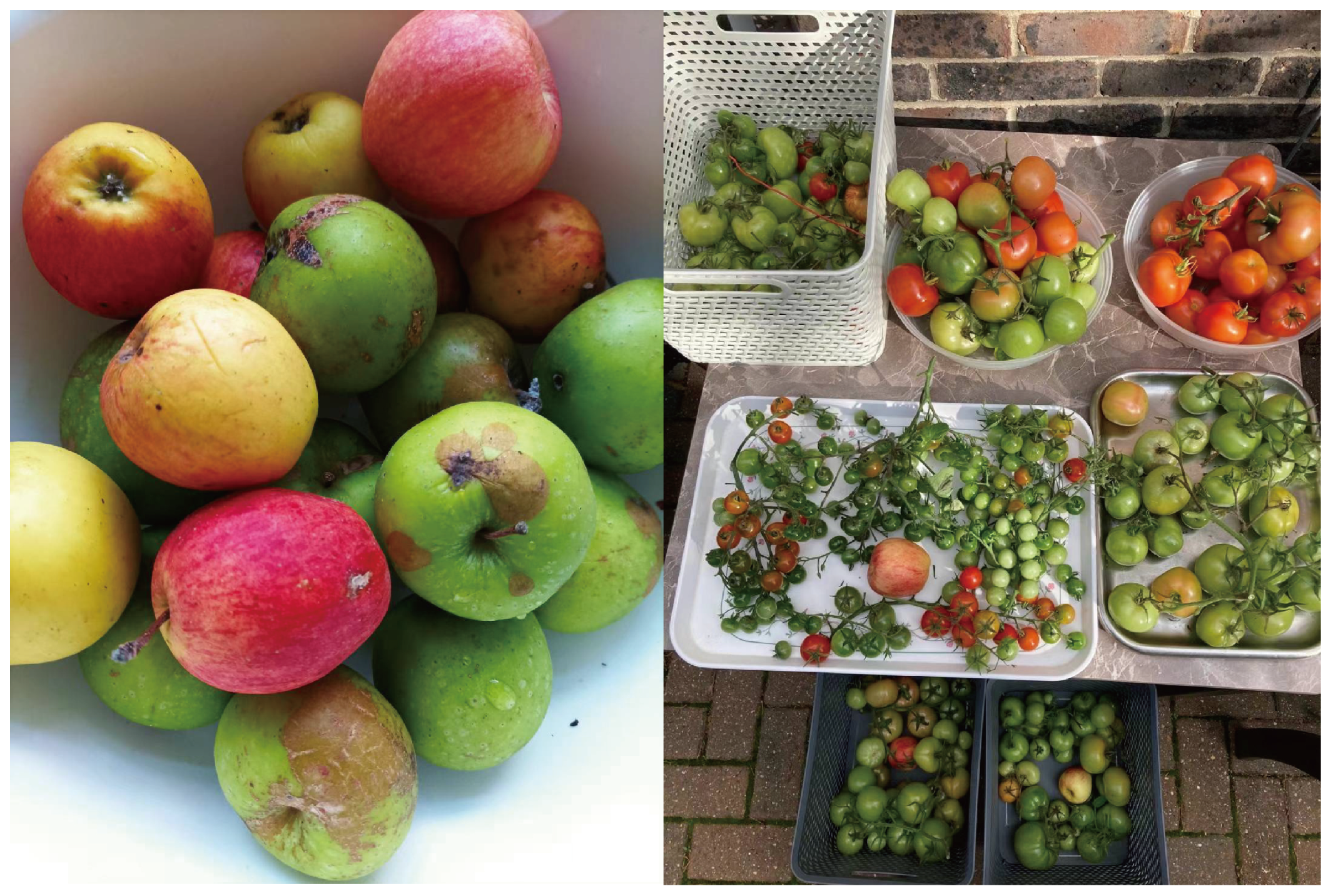 Ijerph 22 00832 g005