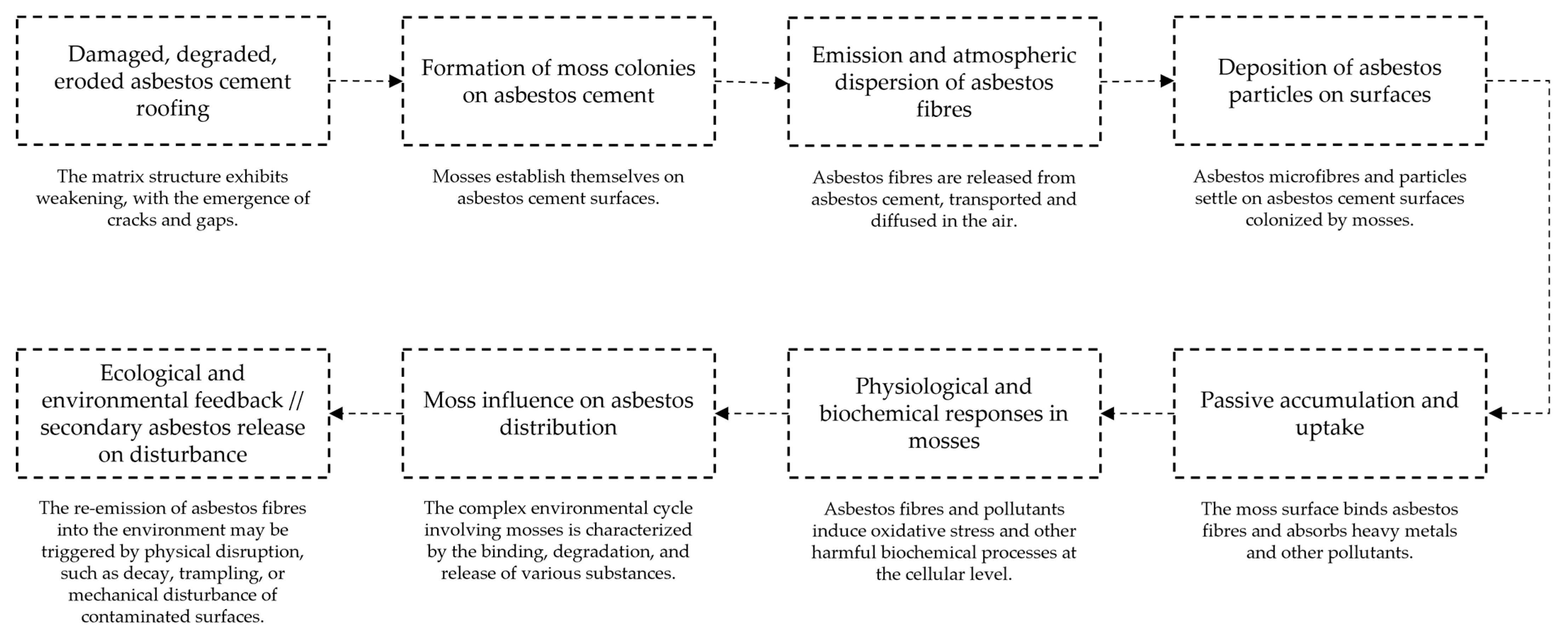 Ijerph 22 00838 g001