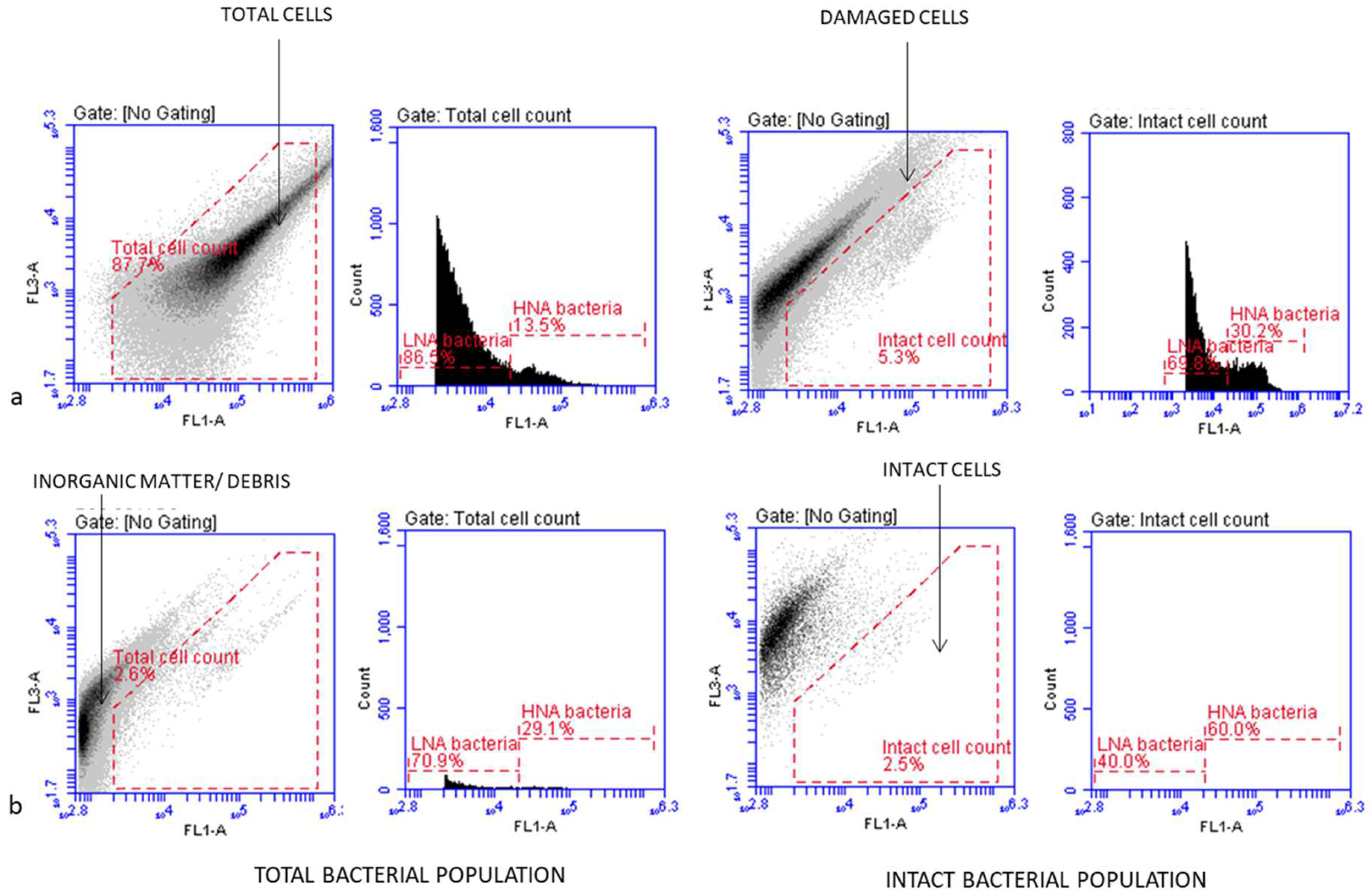 Ijerph 22 00846 g001