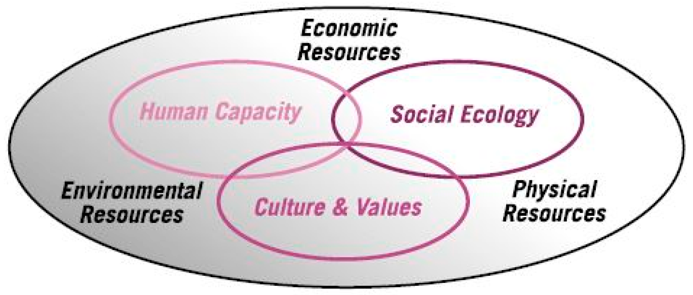 Ijerph 22 00865 g001