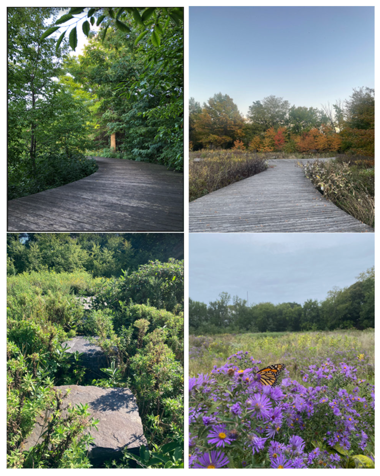 Ijerph 22 00870 g005