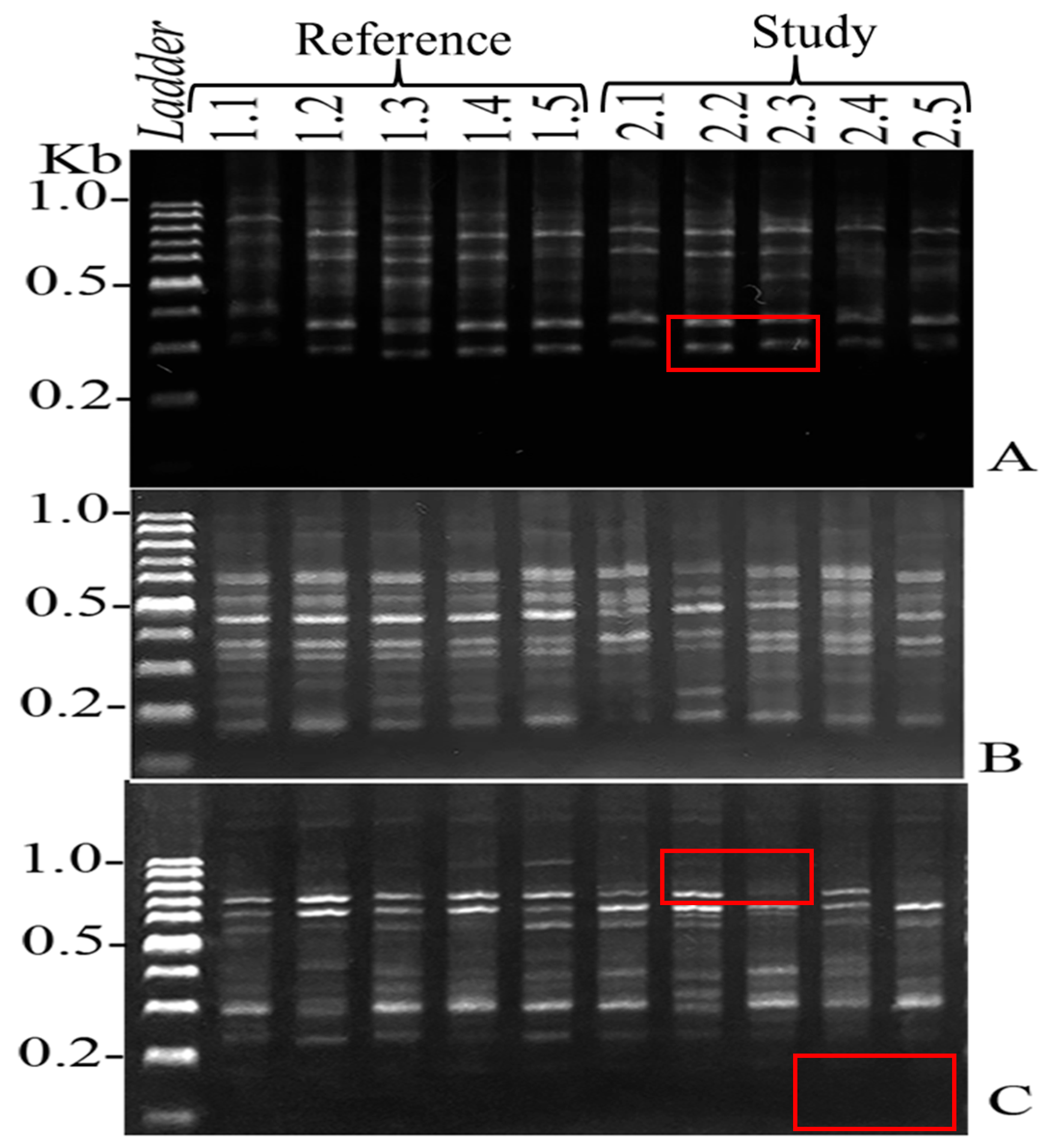 Ijerph 22 00873 g002