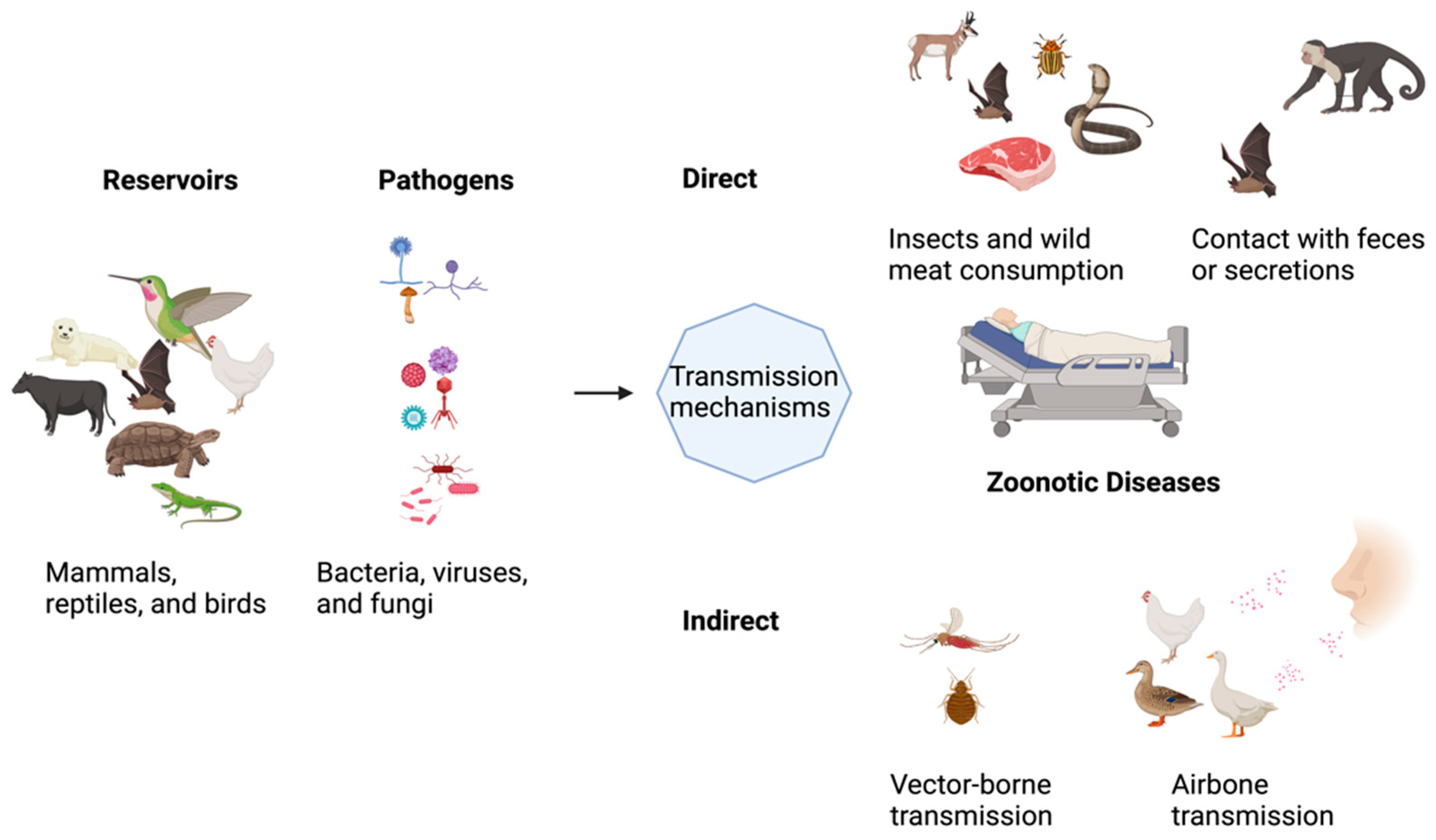 Ijerph 22 00883 g001