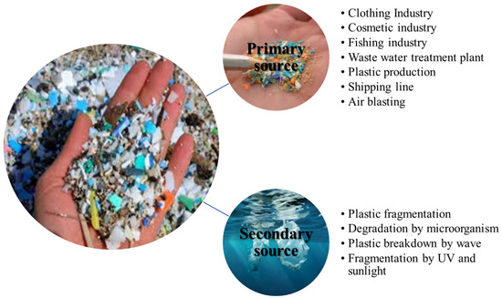 aitm様 The Crosstalk Between Ferritinophagy and Ferroptosis in