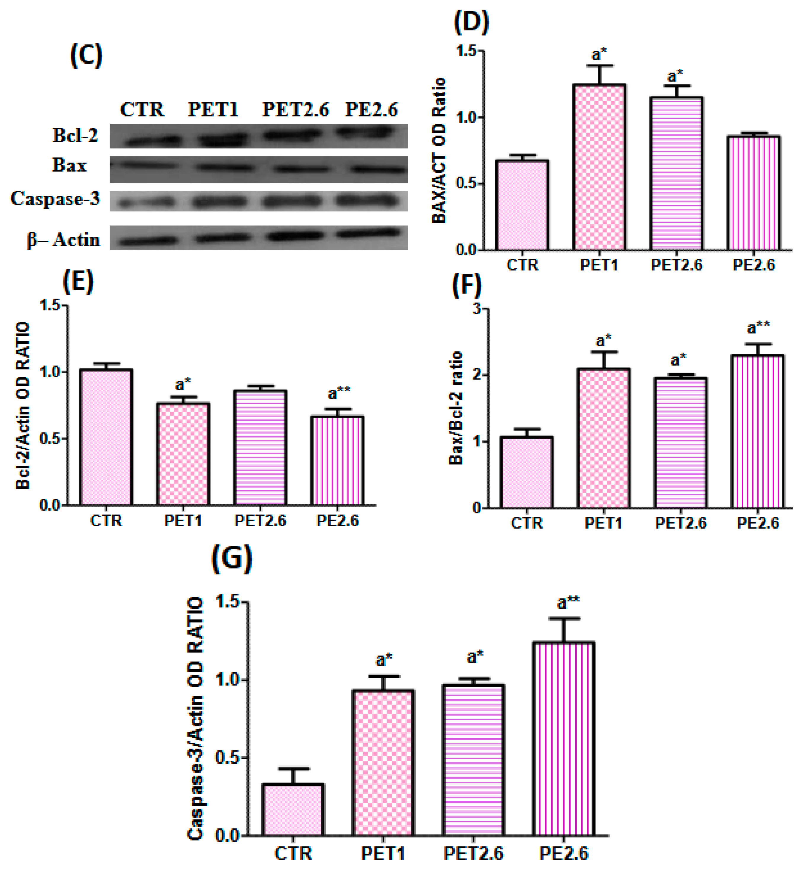 Ijerph 22 00922 g003b
