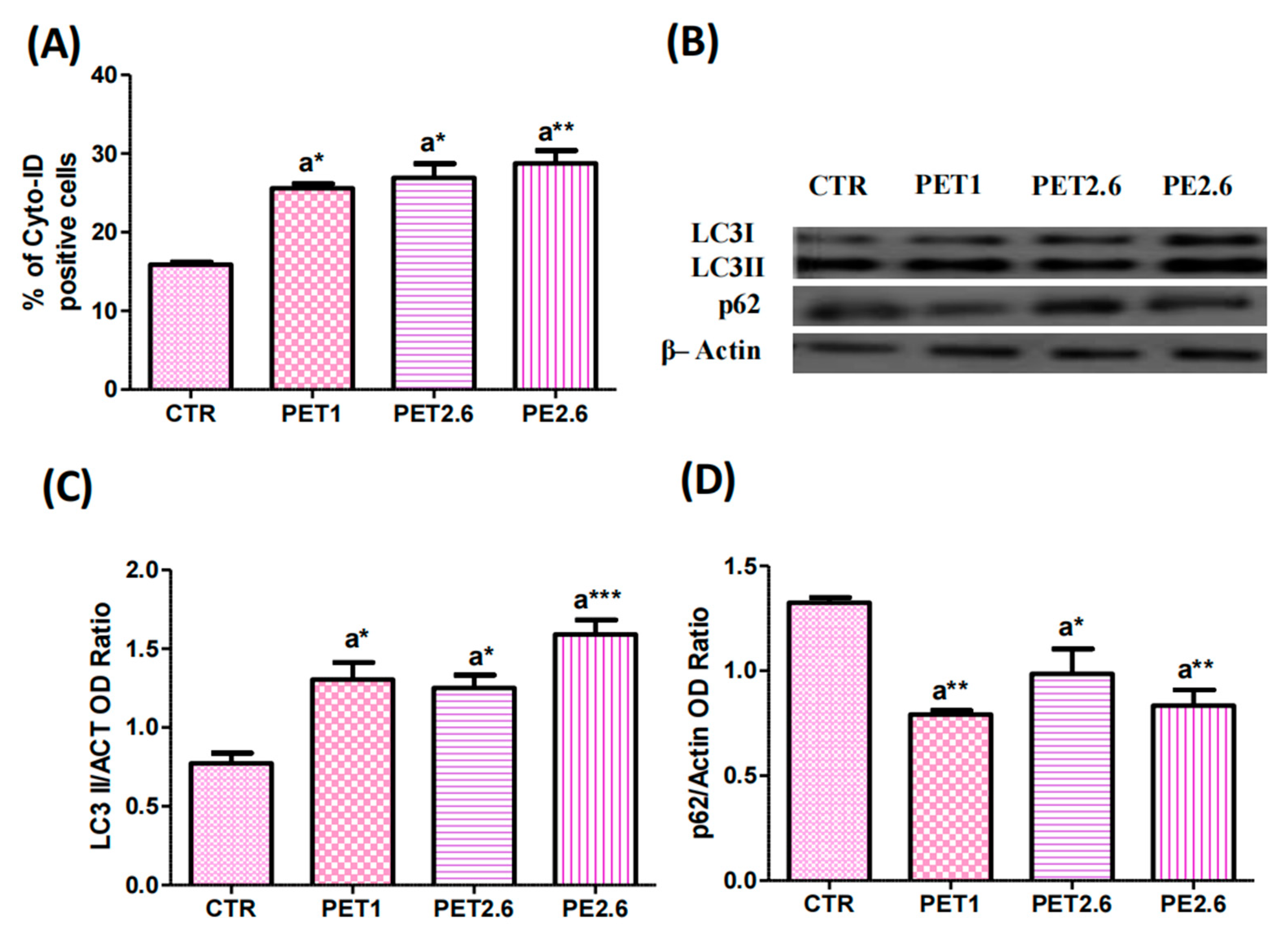 Ijerph 22 00922 g004