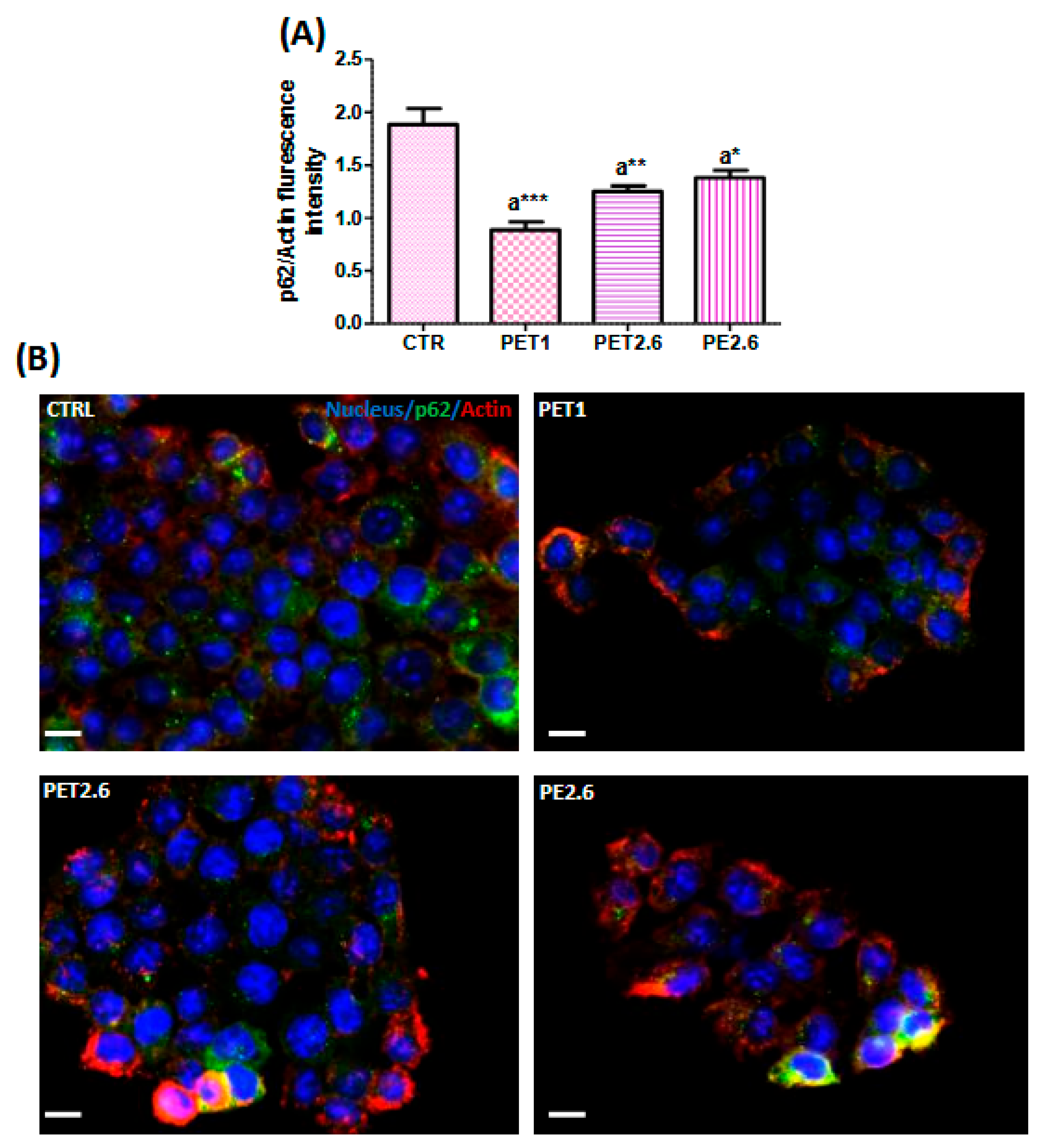 Ijerph 22 00922 g005a