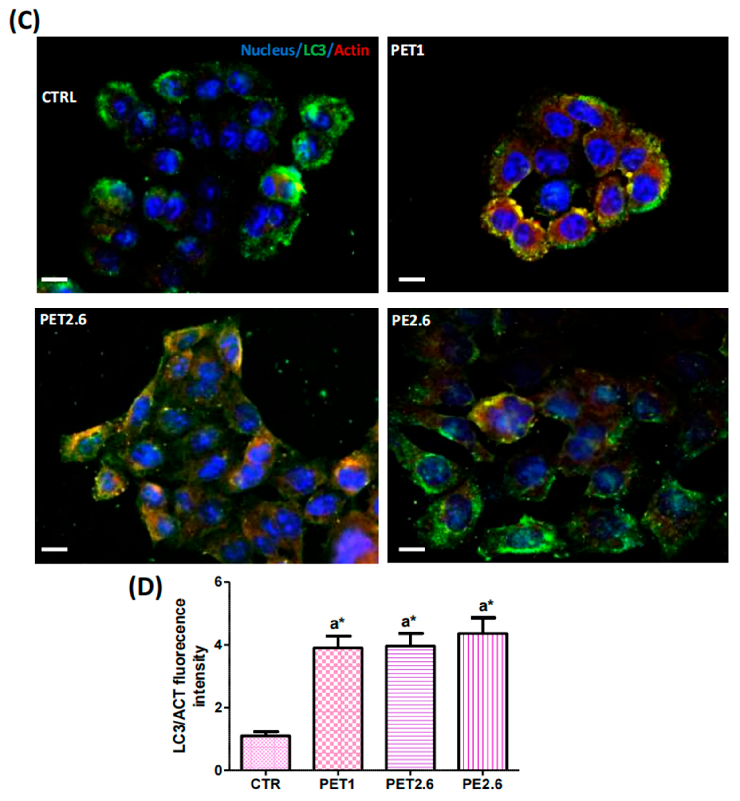 Ijerph 22 00922 g005b