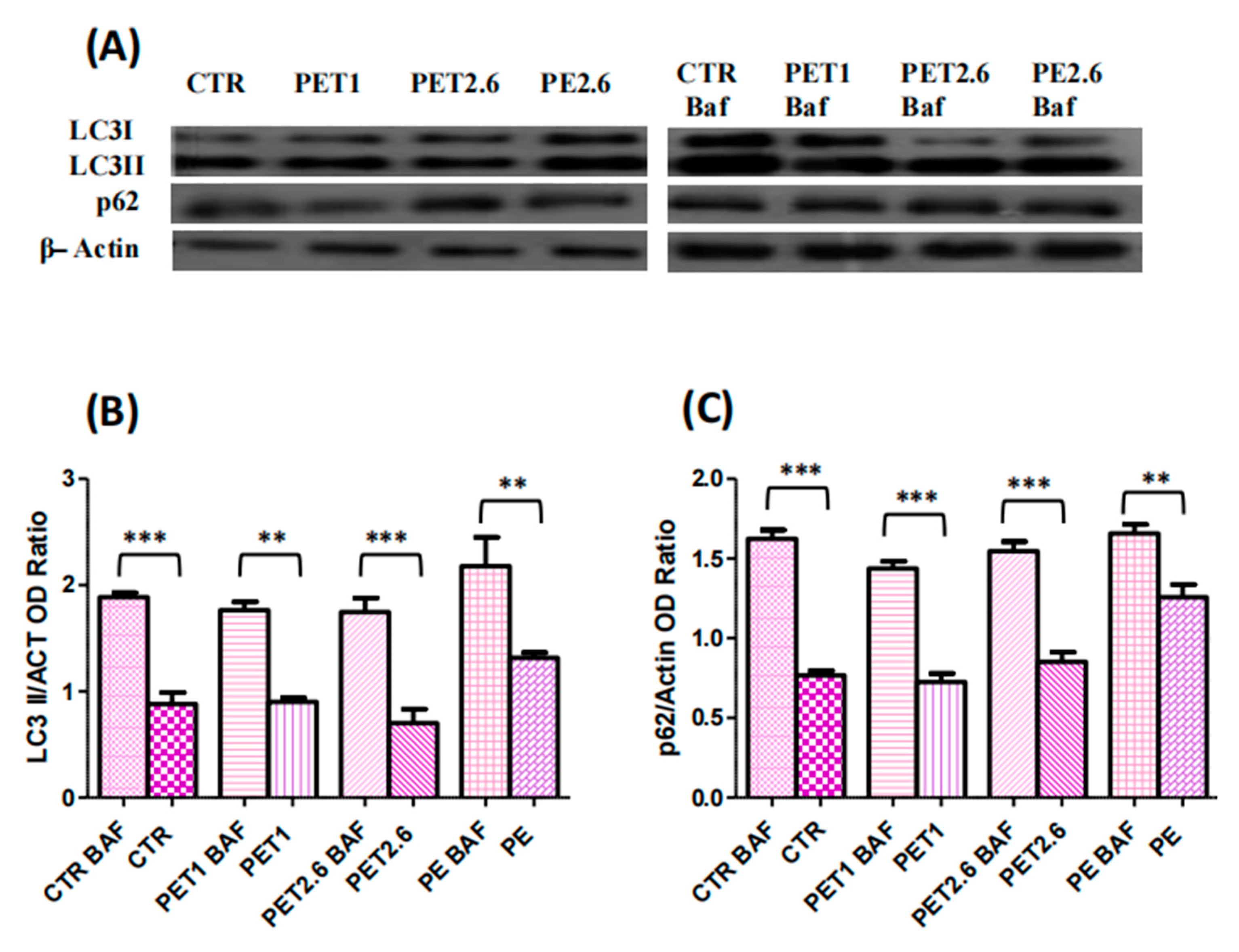 Ijerph 22 00922 g006