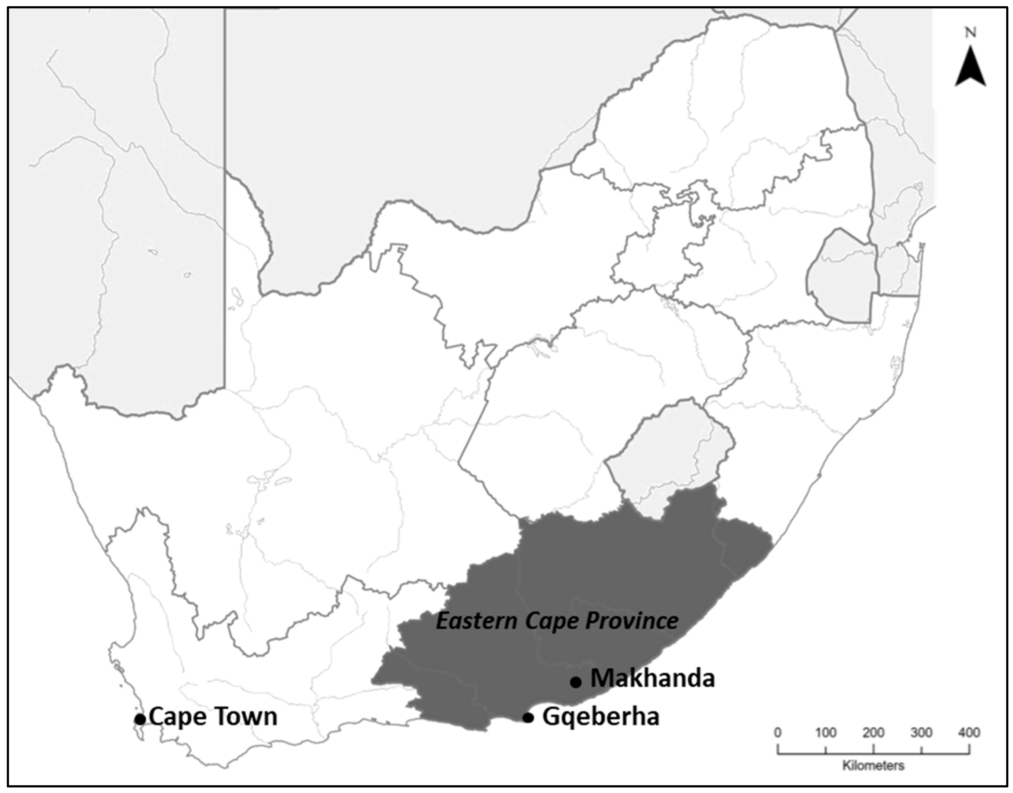 Ijerph 22 00958 g001