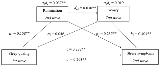 The Role of Rumination and Worry in the Bidirectional Relationship ...